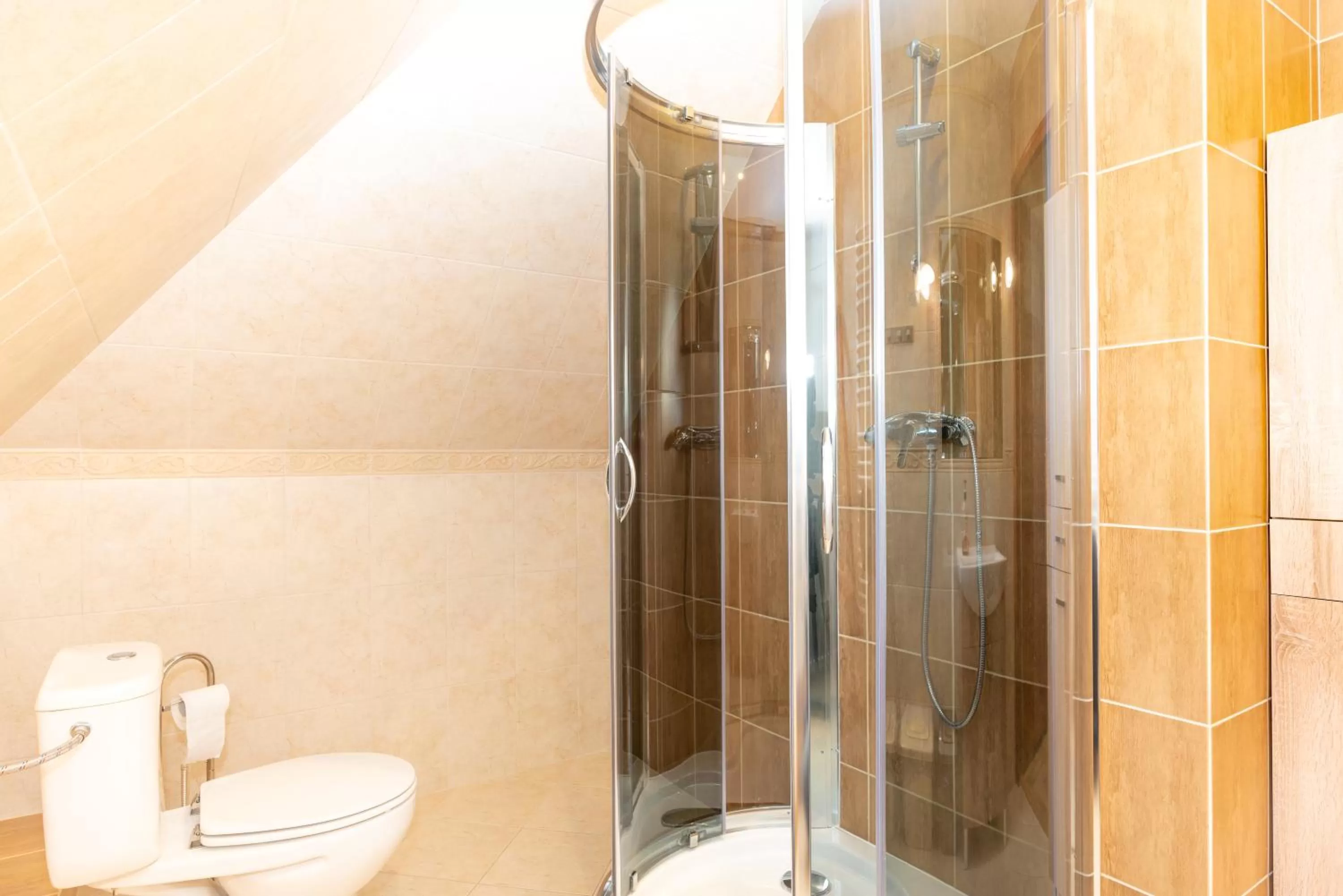 Shower in Gościniec Pięciu Stawów