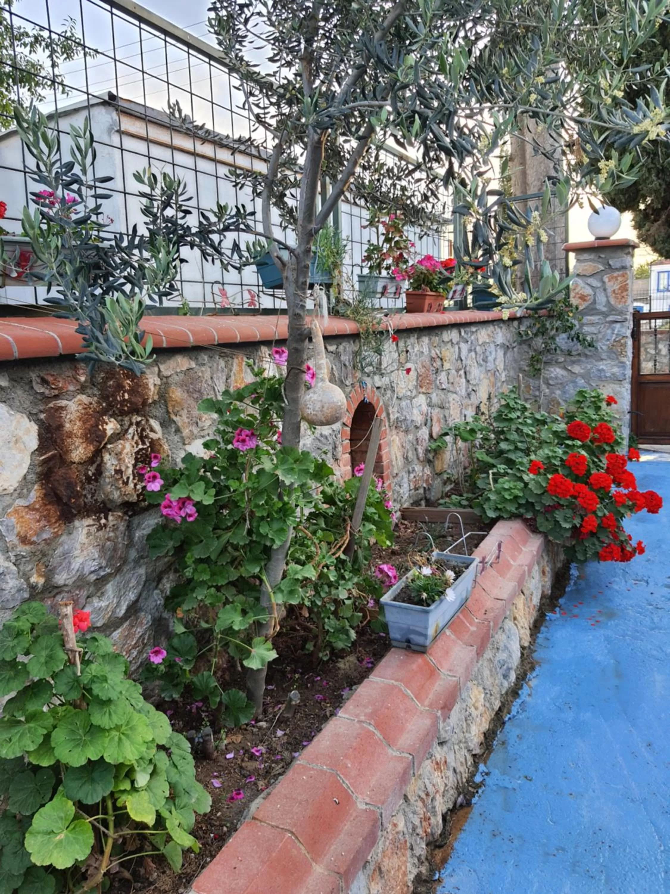 Garden in Stone House Hotel