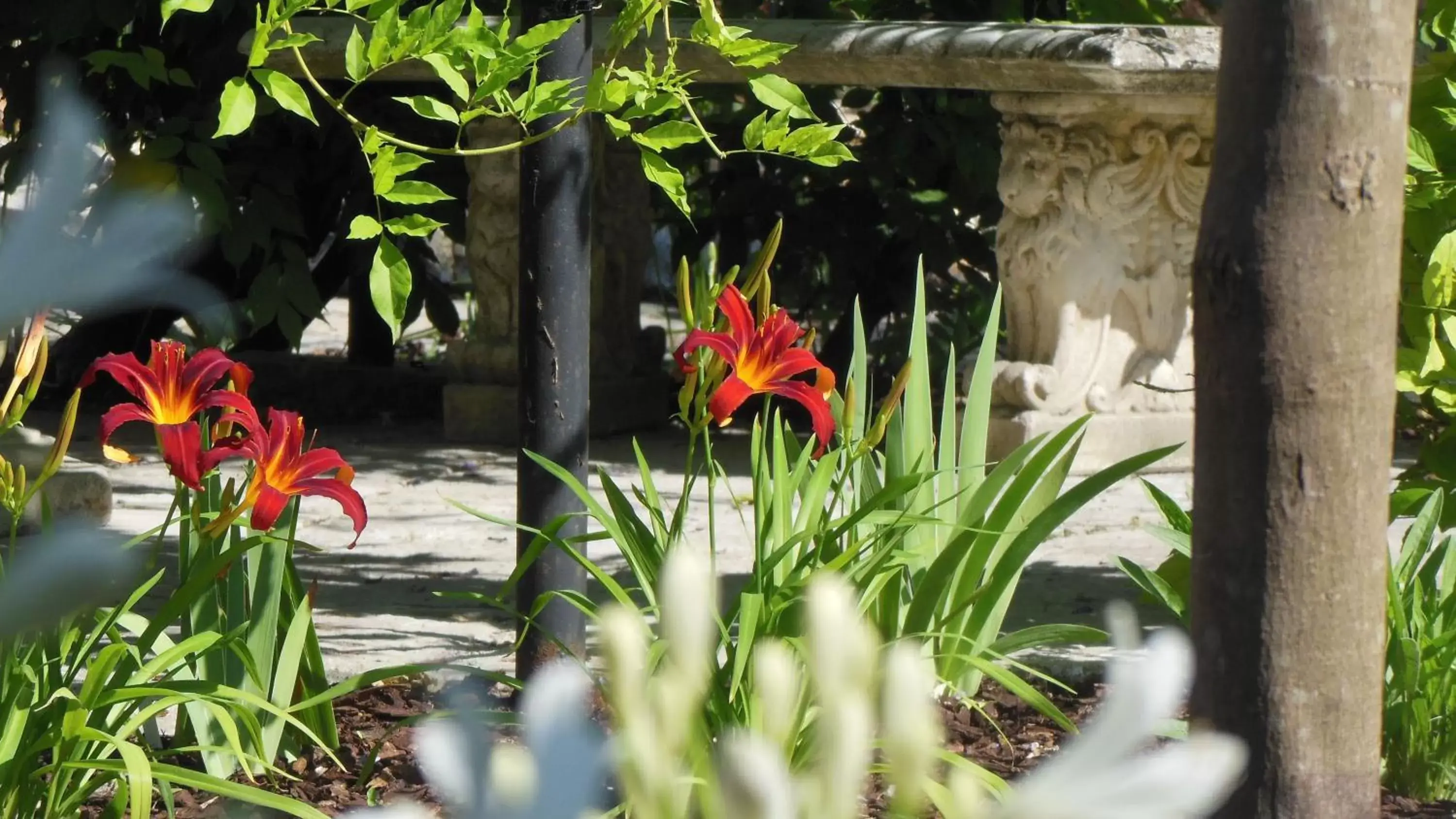 Garden in Hotel Sant'Antonin