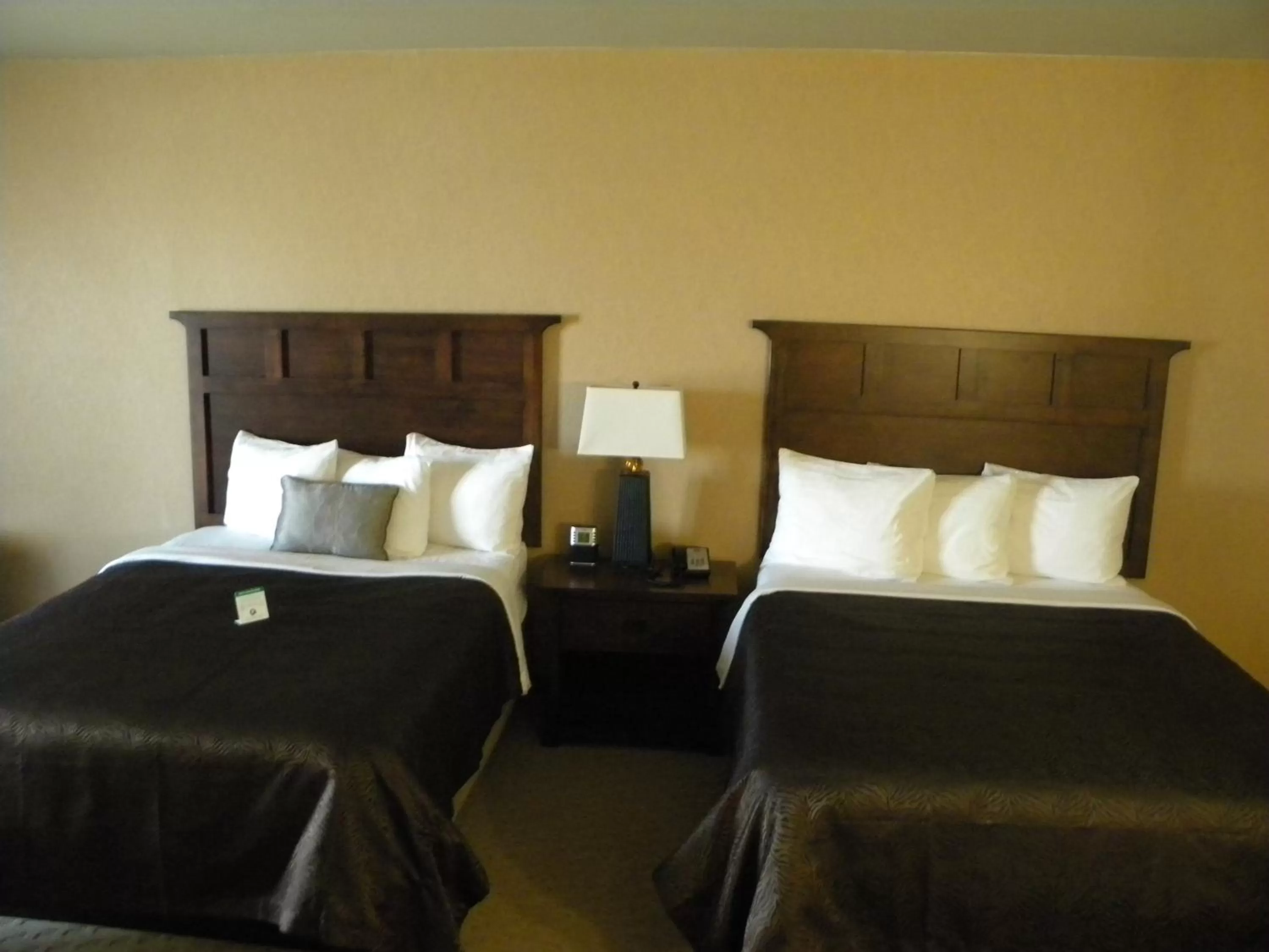 Bed in Teddy's Residential Suites Watford City