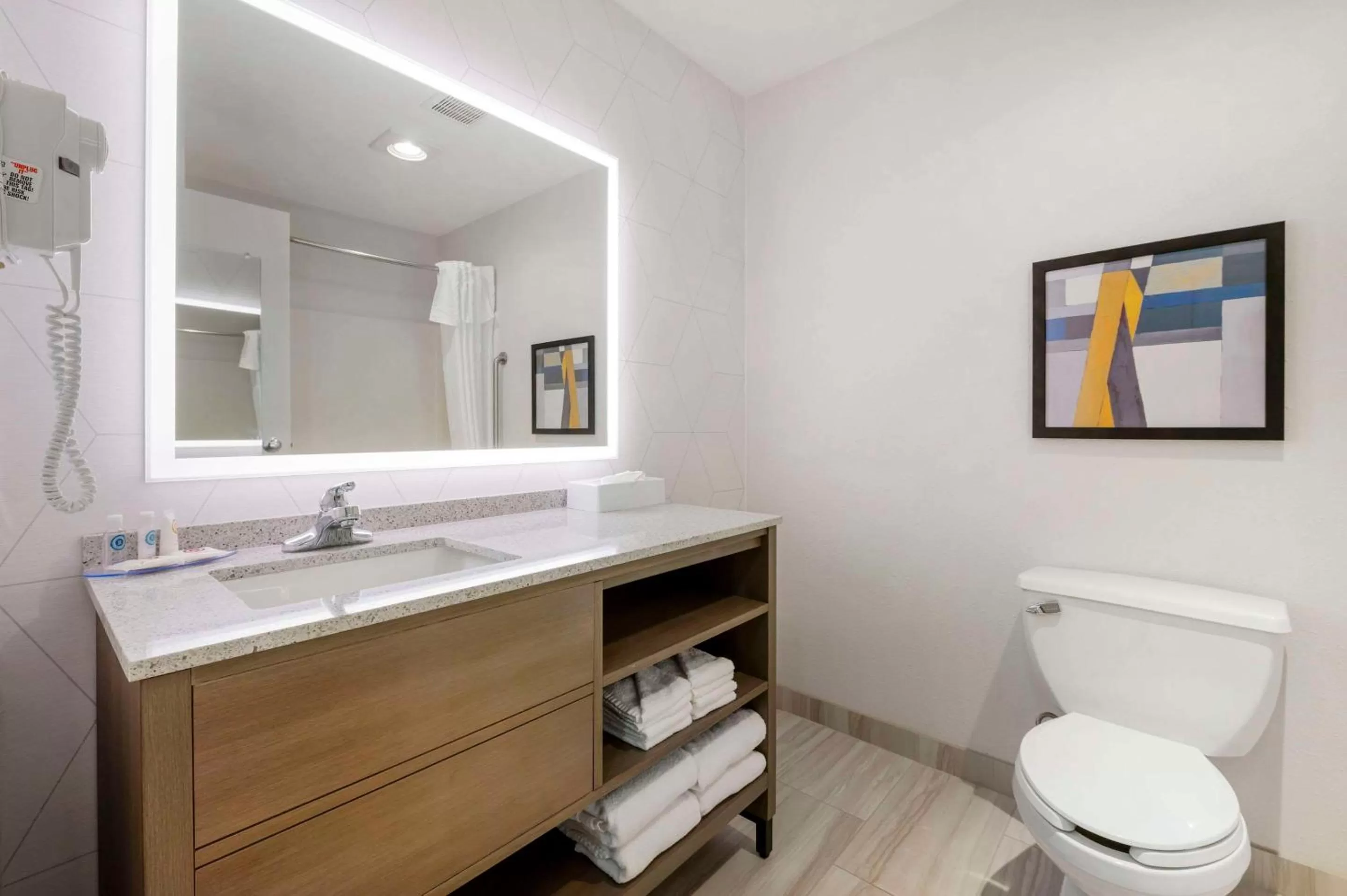 Toilet in Comfort Inn Edinburgh - Columbus