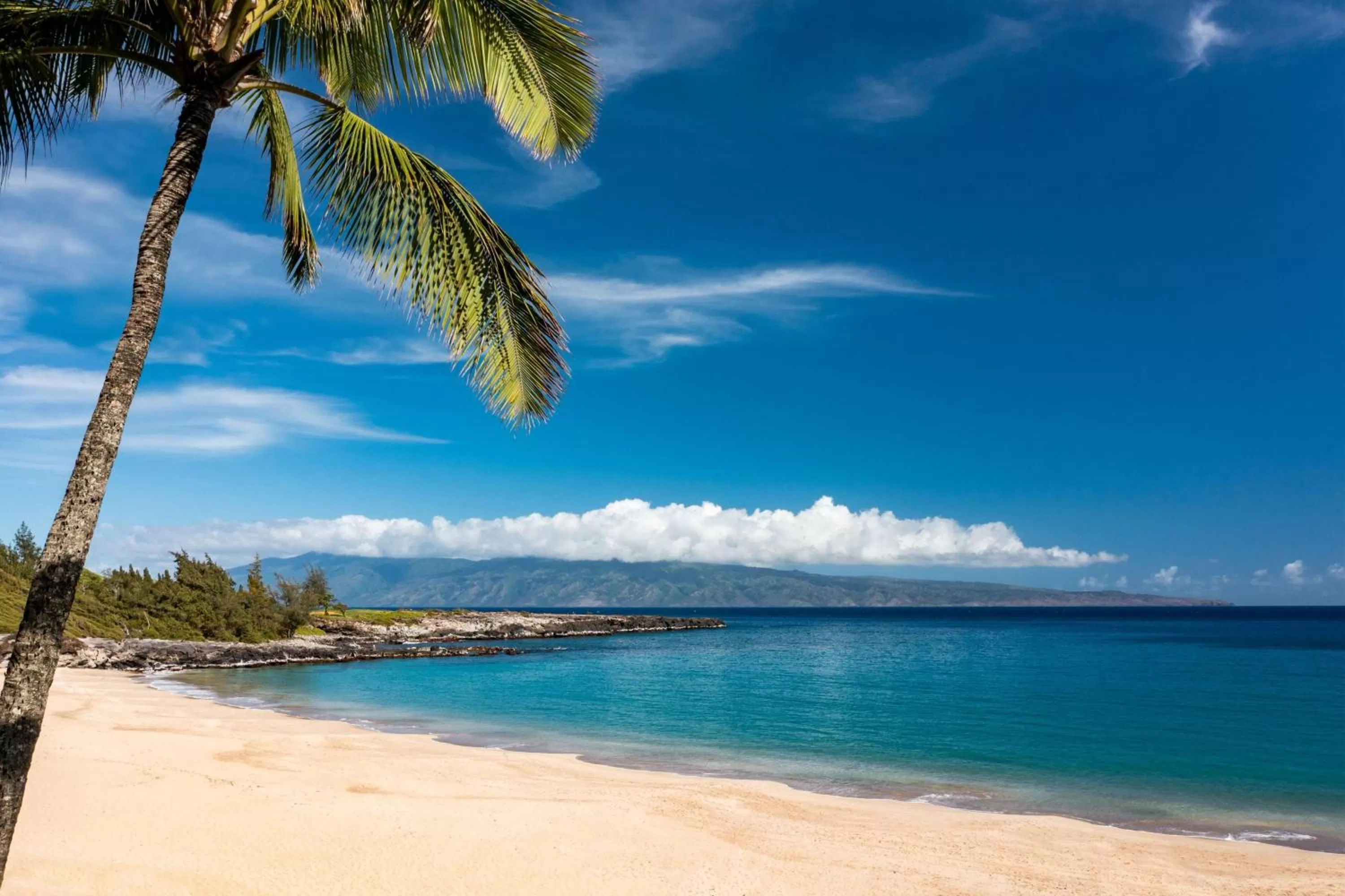 Beach in The Ritz-Carlton Maui, Kapalua