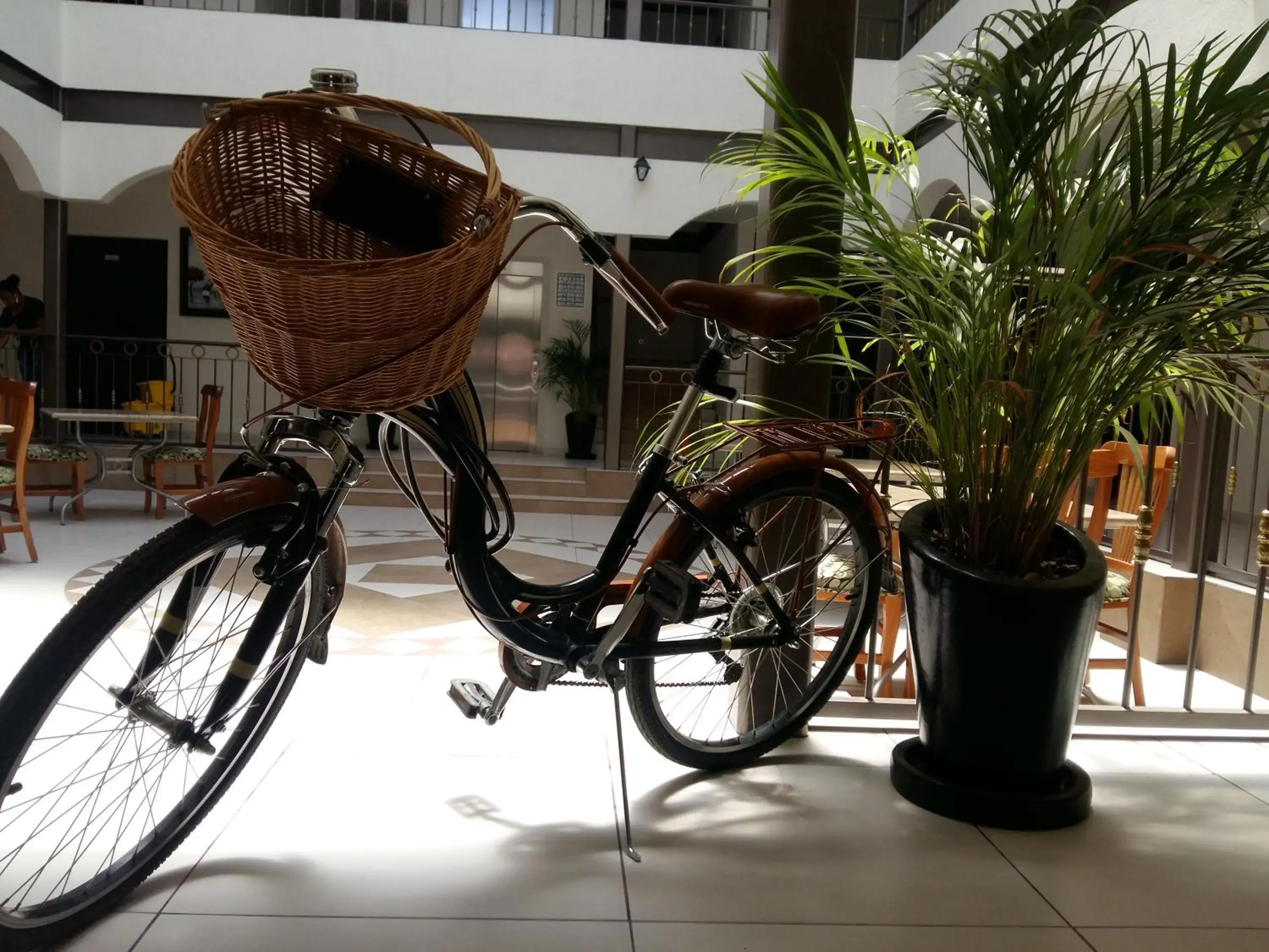 Cycling, Other Activities in Hotel SanJo