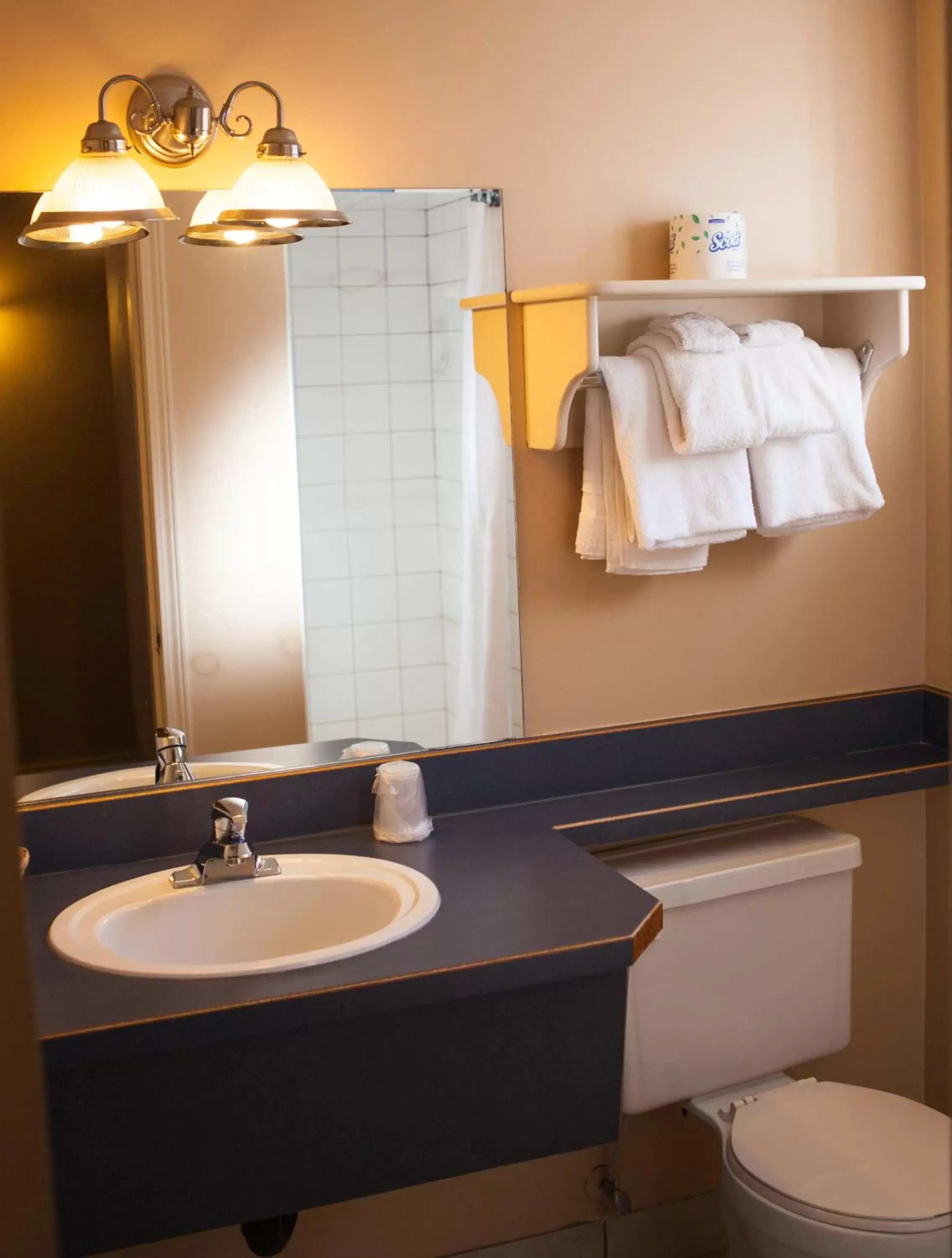 Bathroom in Revelstoke Lodge