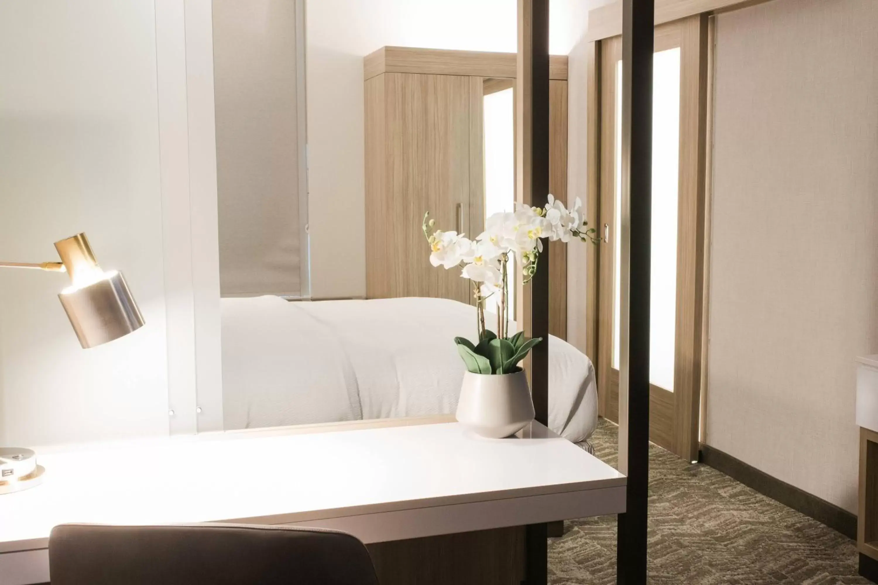 King Suite with Trundle Bed - Hearing Accessible in SpringHill Suites by Marriott Birmingham Gardendale King Suite with Trundle Bed - Hearing Accessible in SpringHill Suites by Marriott Birmingham Gardendale