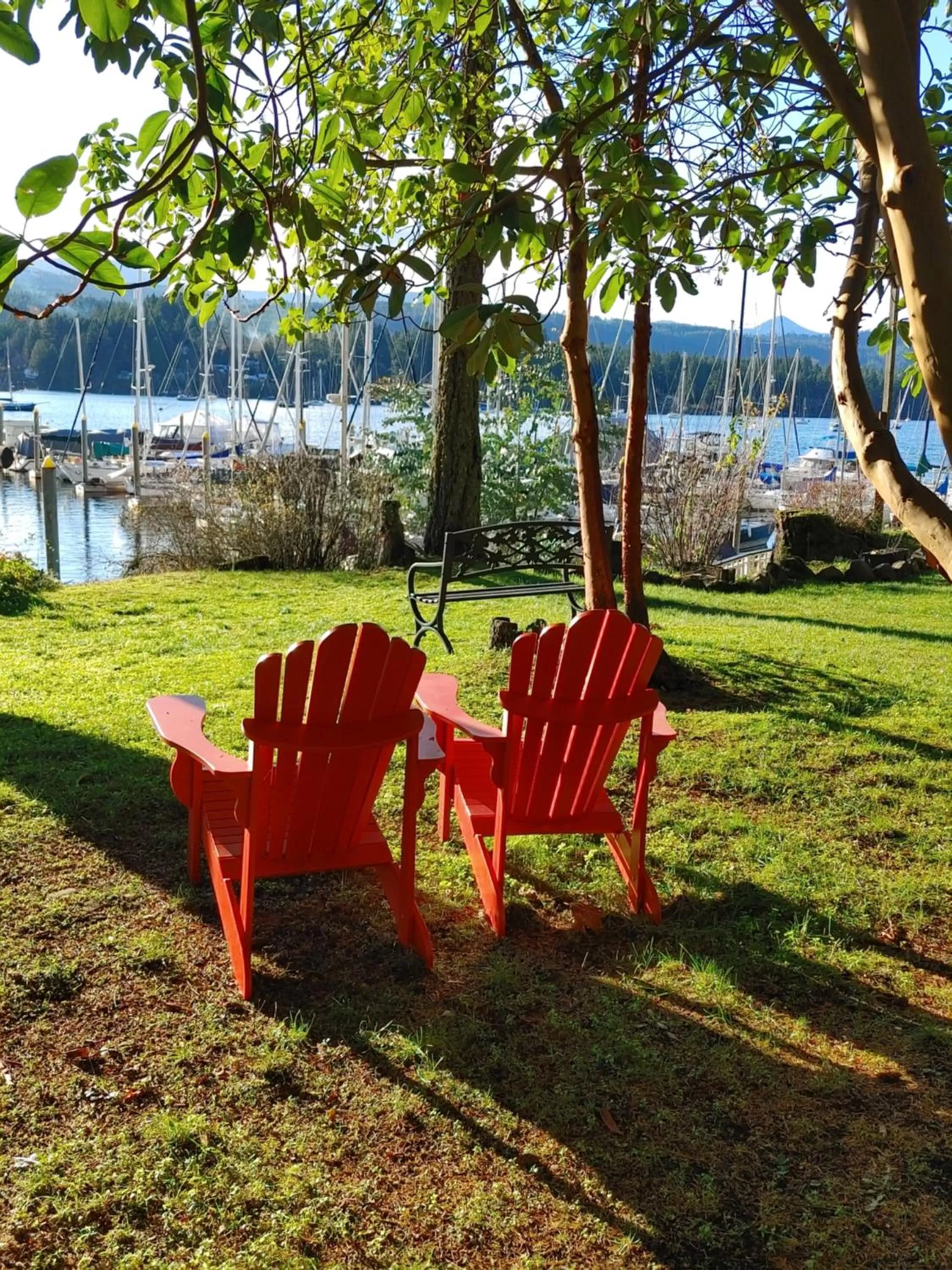 Garden in Raven Point Inn