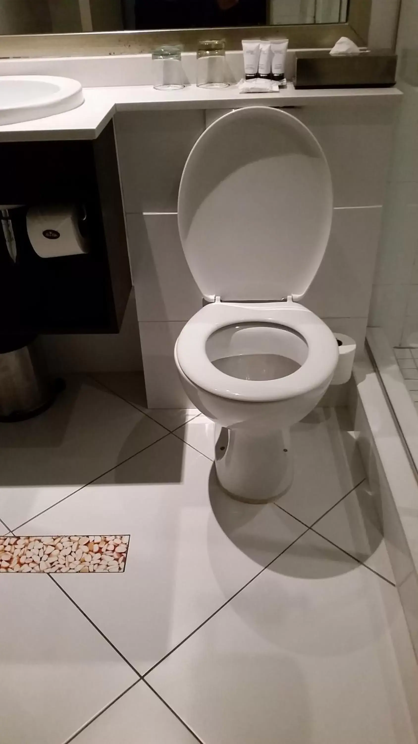 Toilet in ONOMO Hotel Cape Town – Inn On The Square