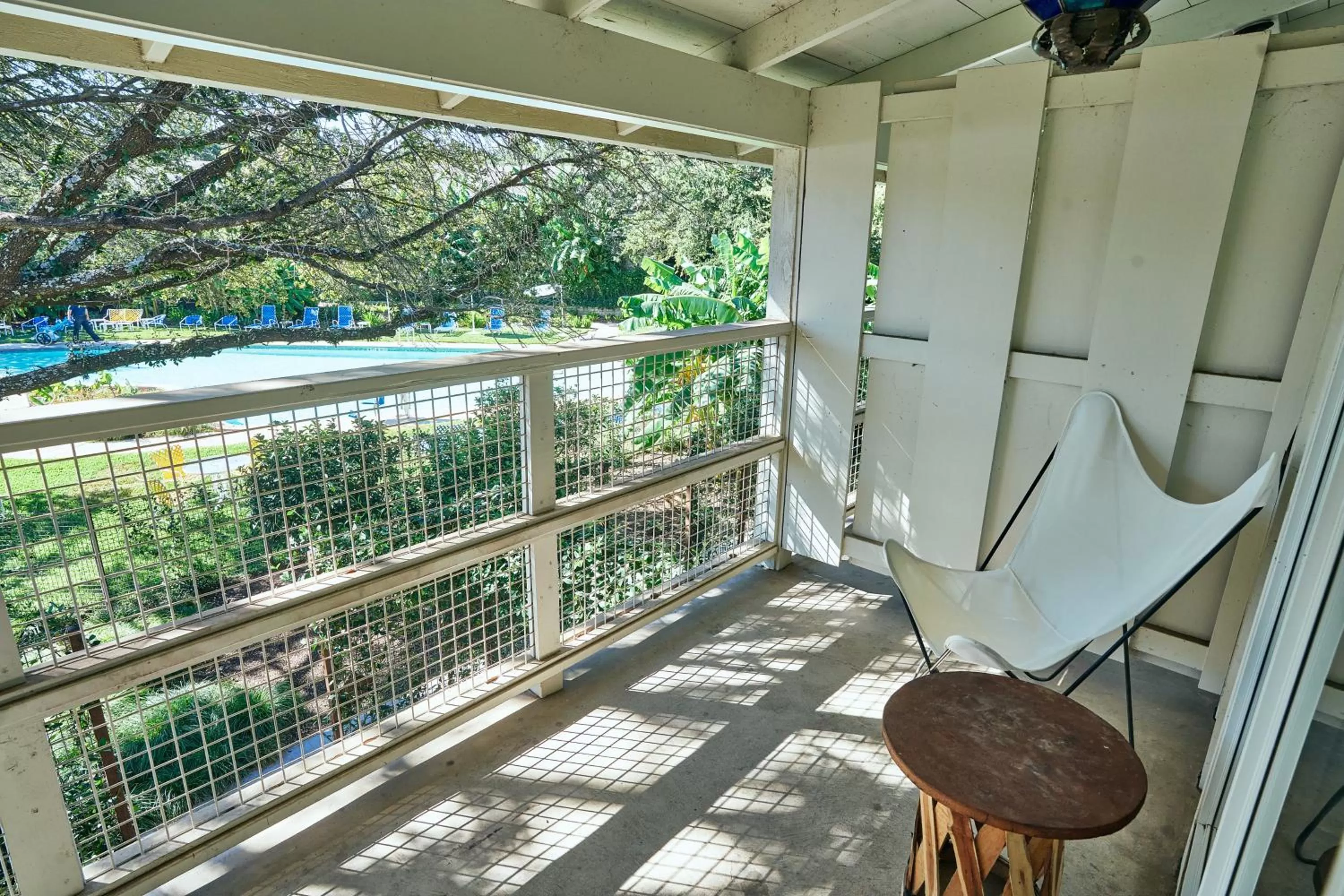 View (from property/room) in Shady Villa Hotel