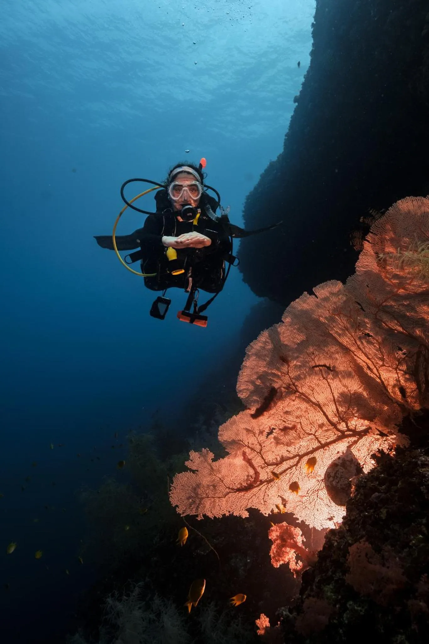 Diving in Buena Vida Resort and Spa