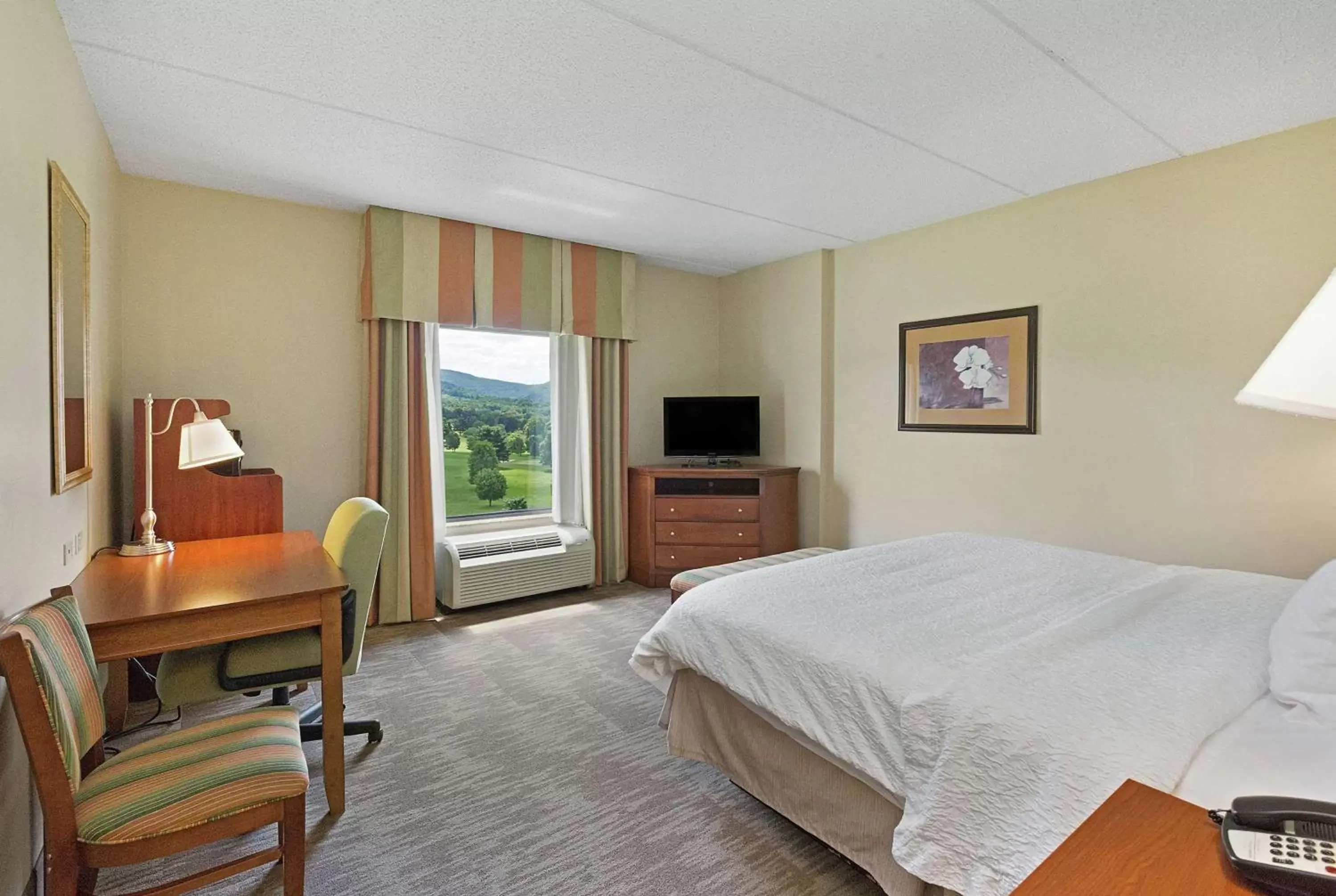 Bed in Hampton Inn & Suites Blairsville