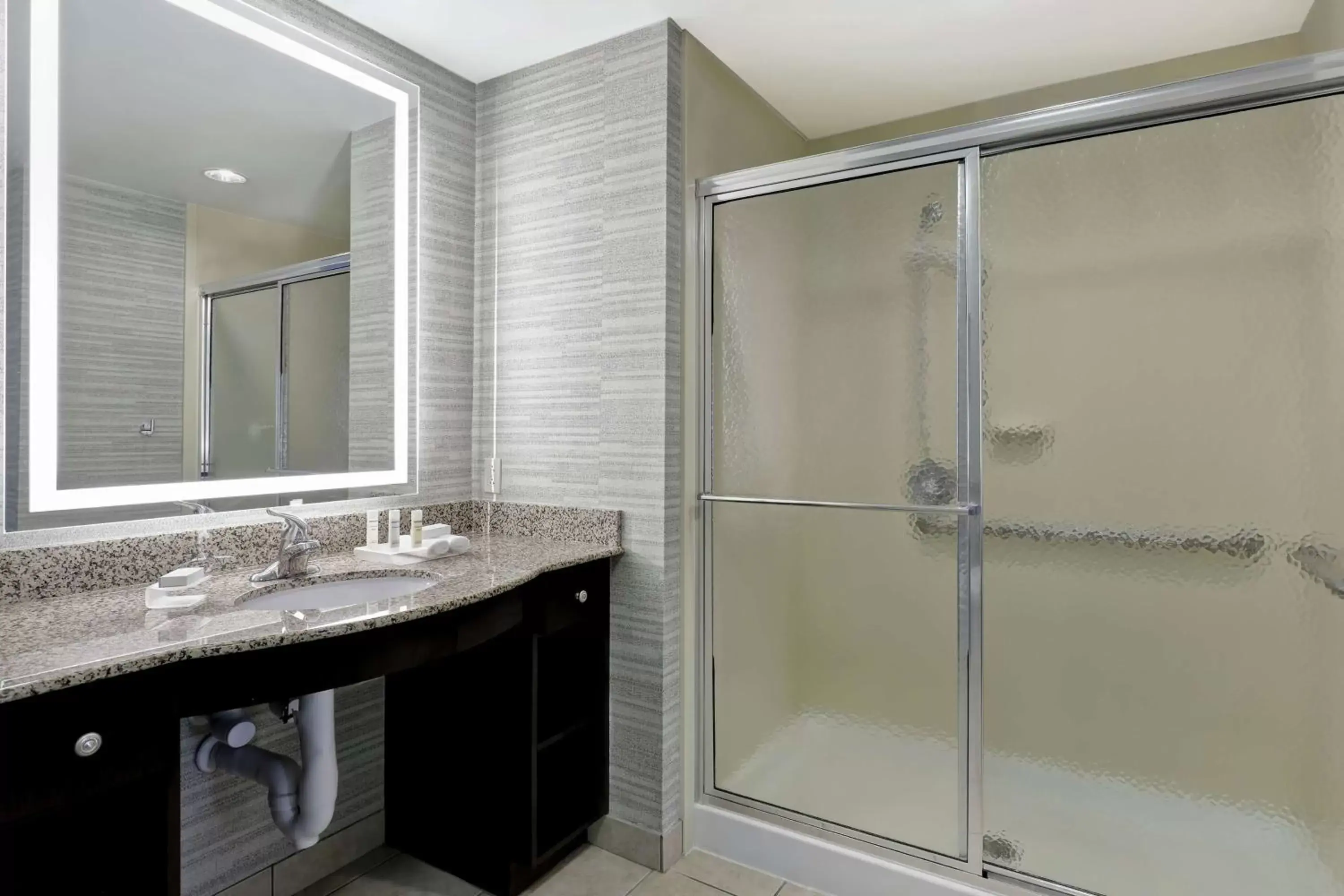 Bathroom in Homewood Suites by Hilton McAllen