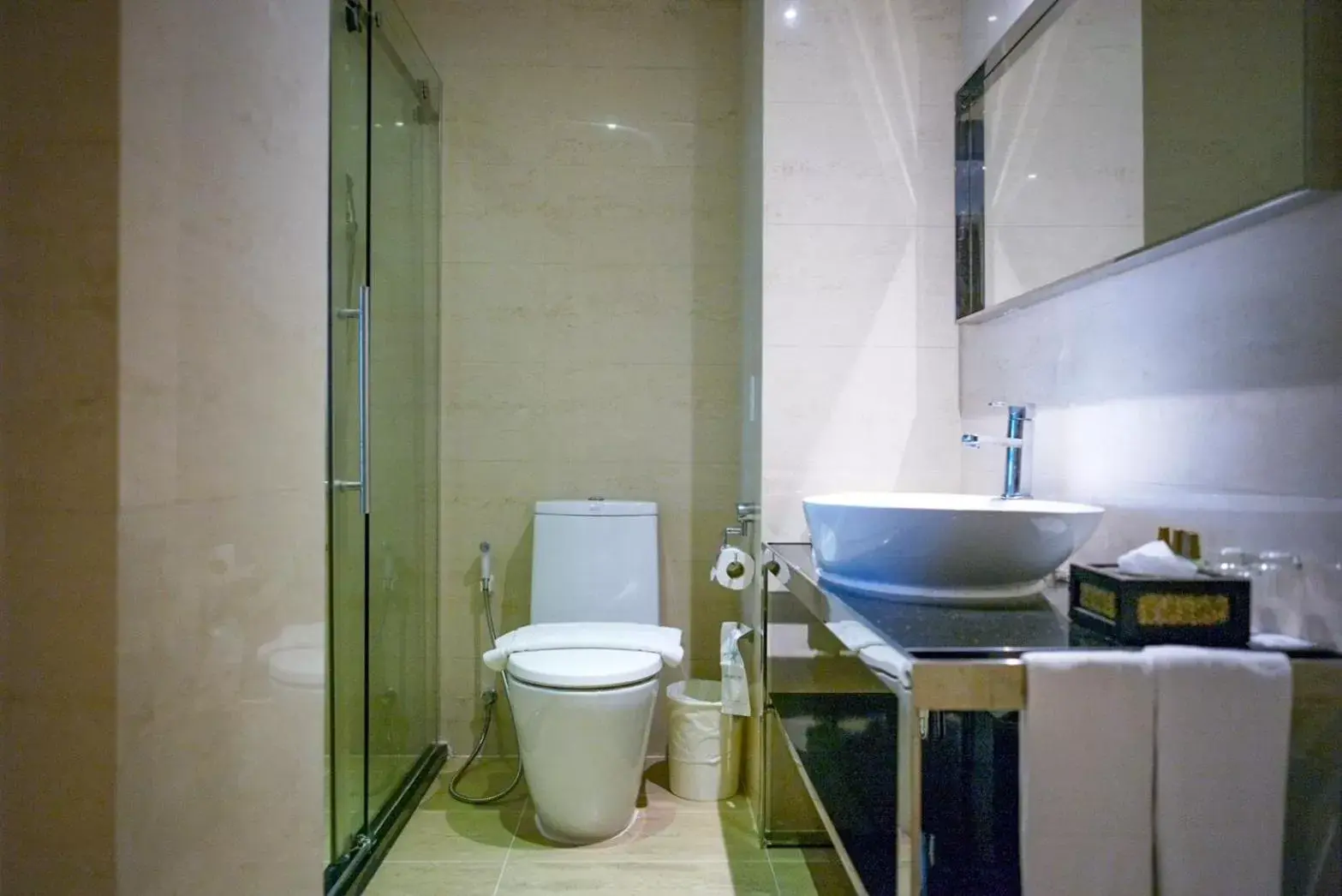 Toilet, Bathroom in Hotel Mermaid Bangkok