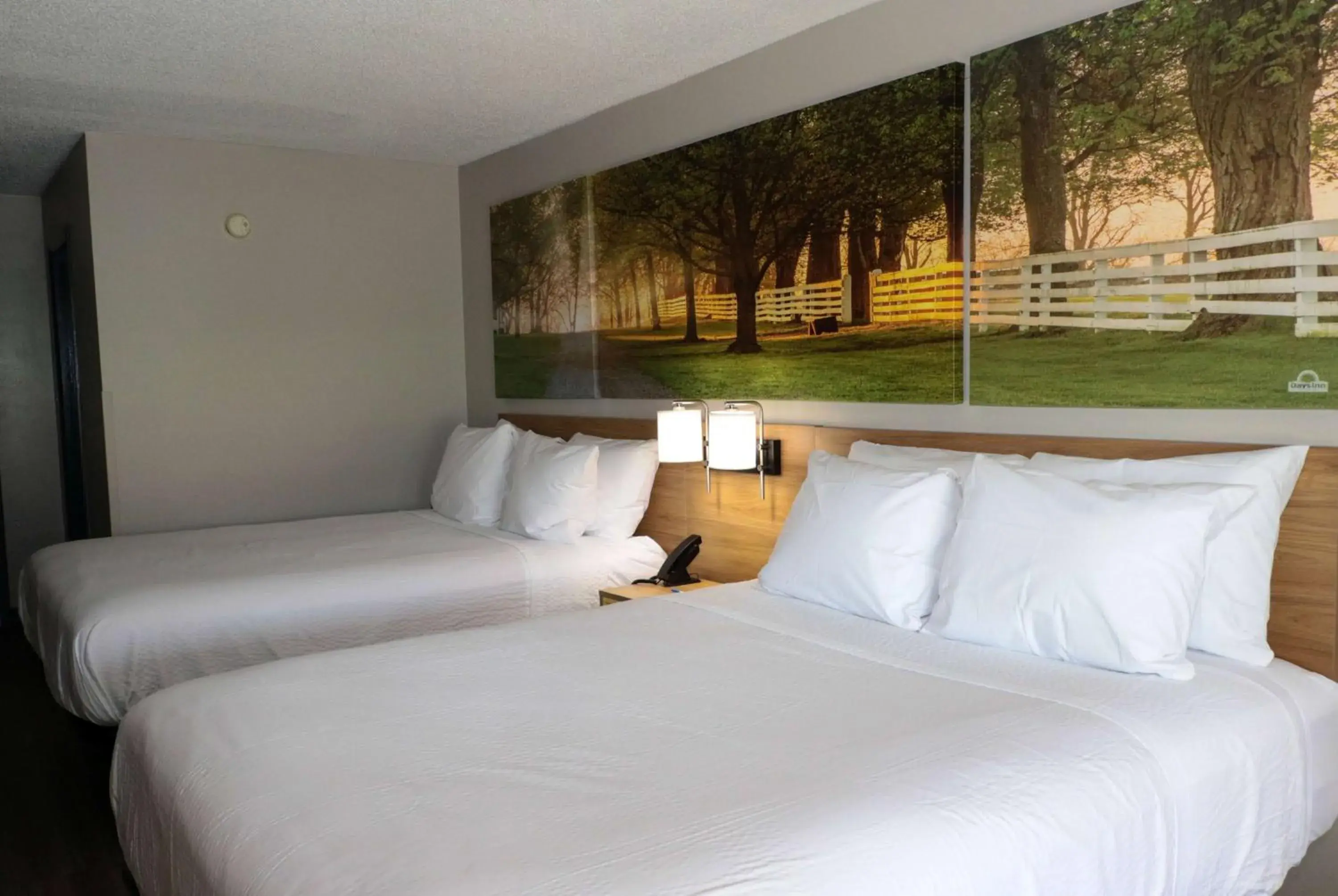 Photo of the whole room, Bed in Days Inn by Wyndham Farmville