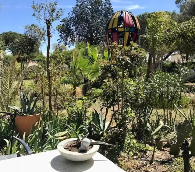 Patio in La cactée singulière