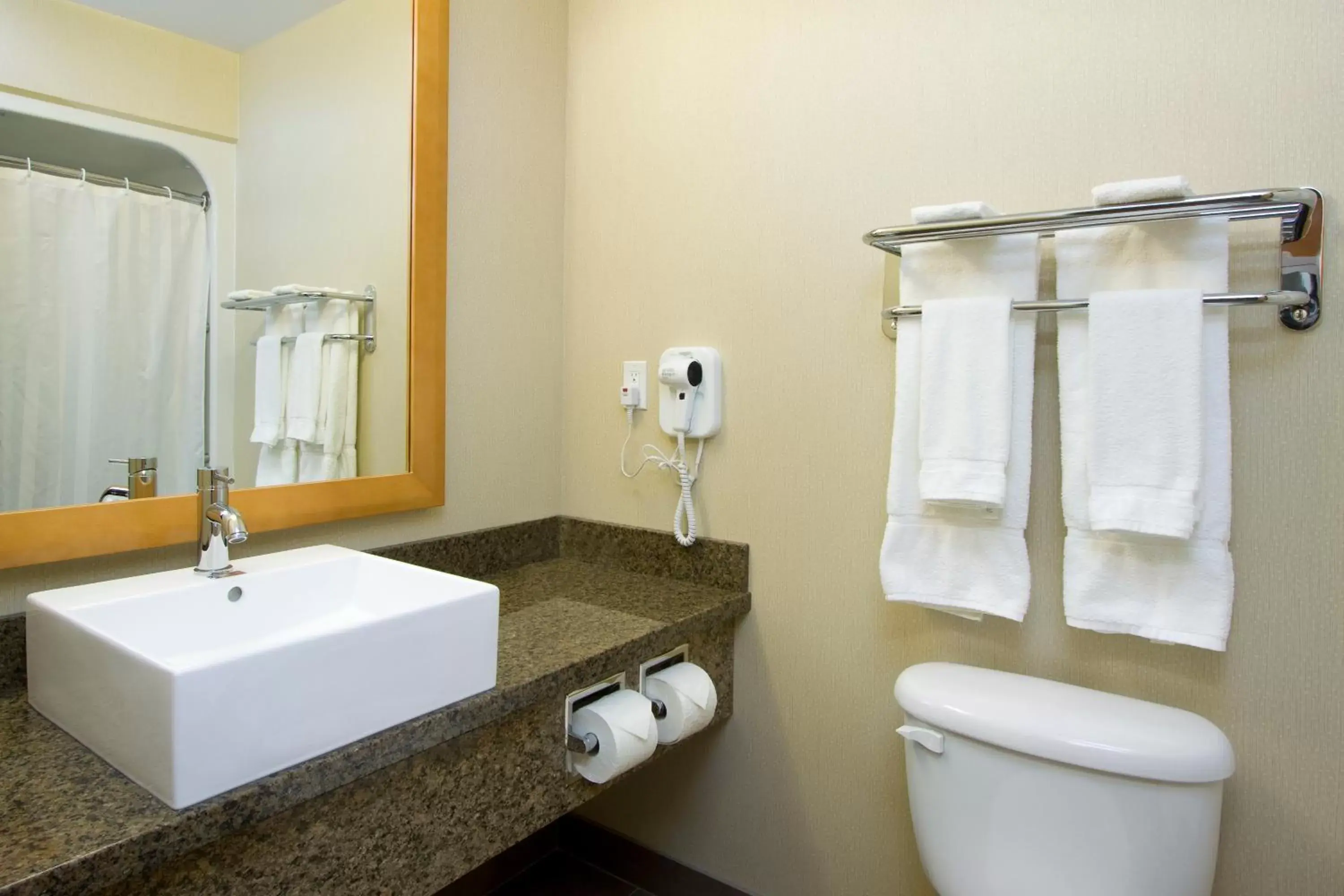 Bathroom in Woodlands Inn & Suites