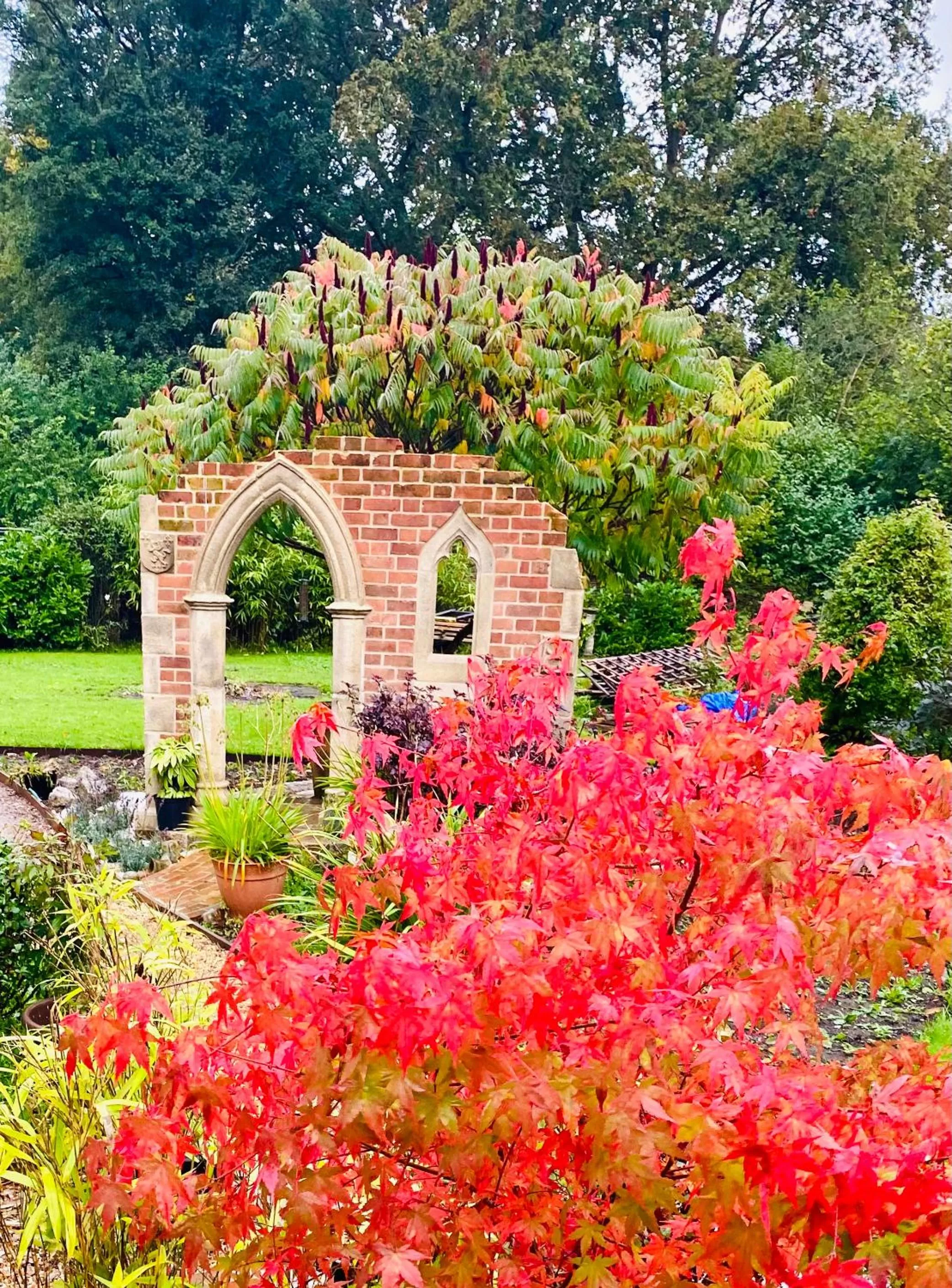 Garden in West View Lodge