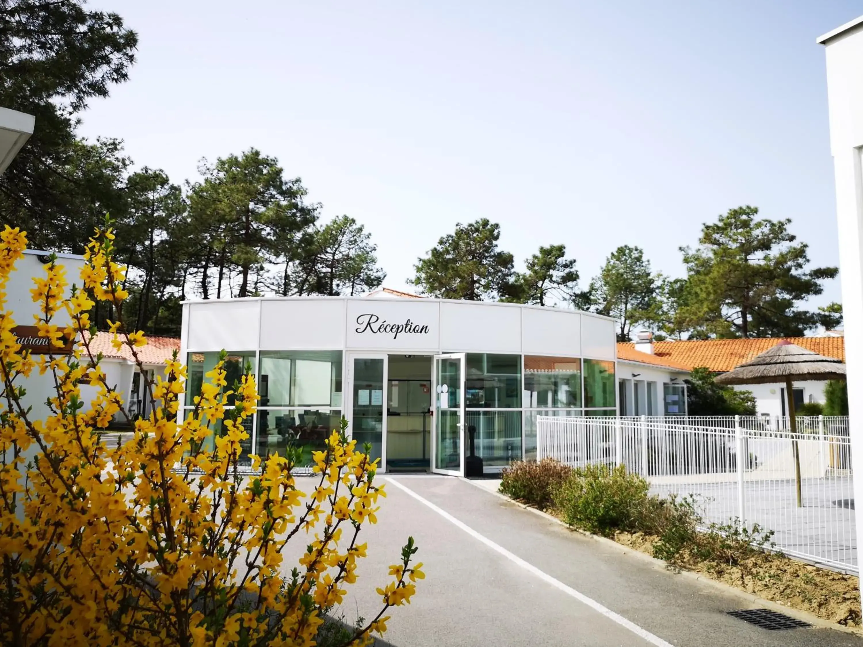 Lobby or reception, Property Building in Vent D'Eden Park Hotel