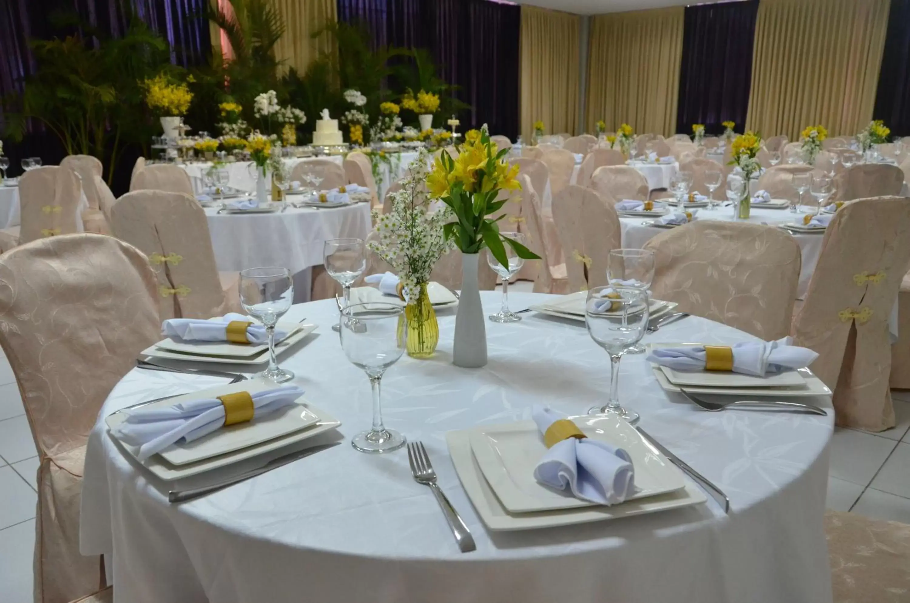 Banquet/Function facilities, Restaurant/Places to Eat in Arituba Park Hotel