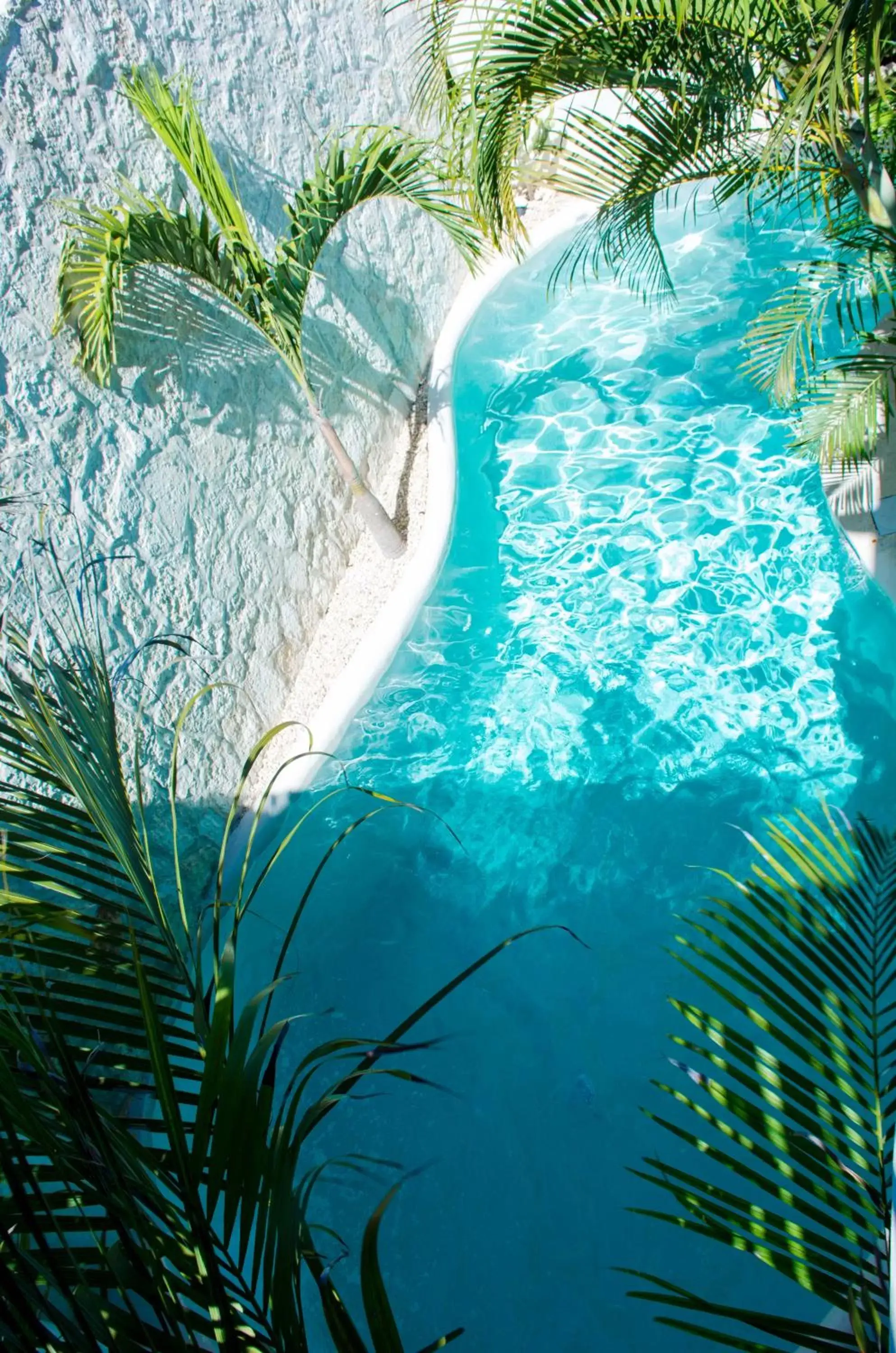 Swimming pool, Bird's-eye View in Pacha Tulum Boutique Hotel