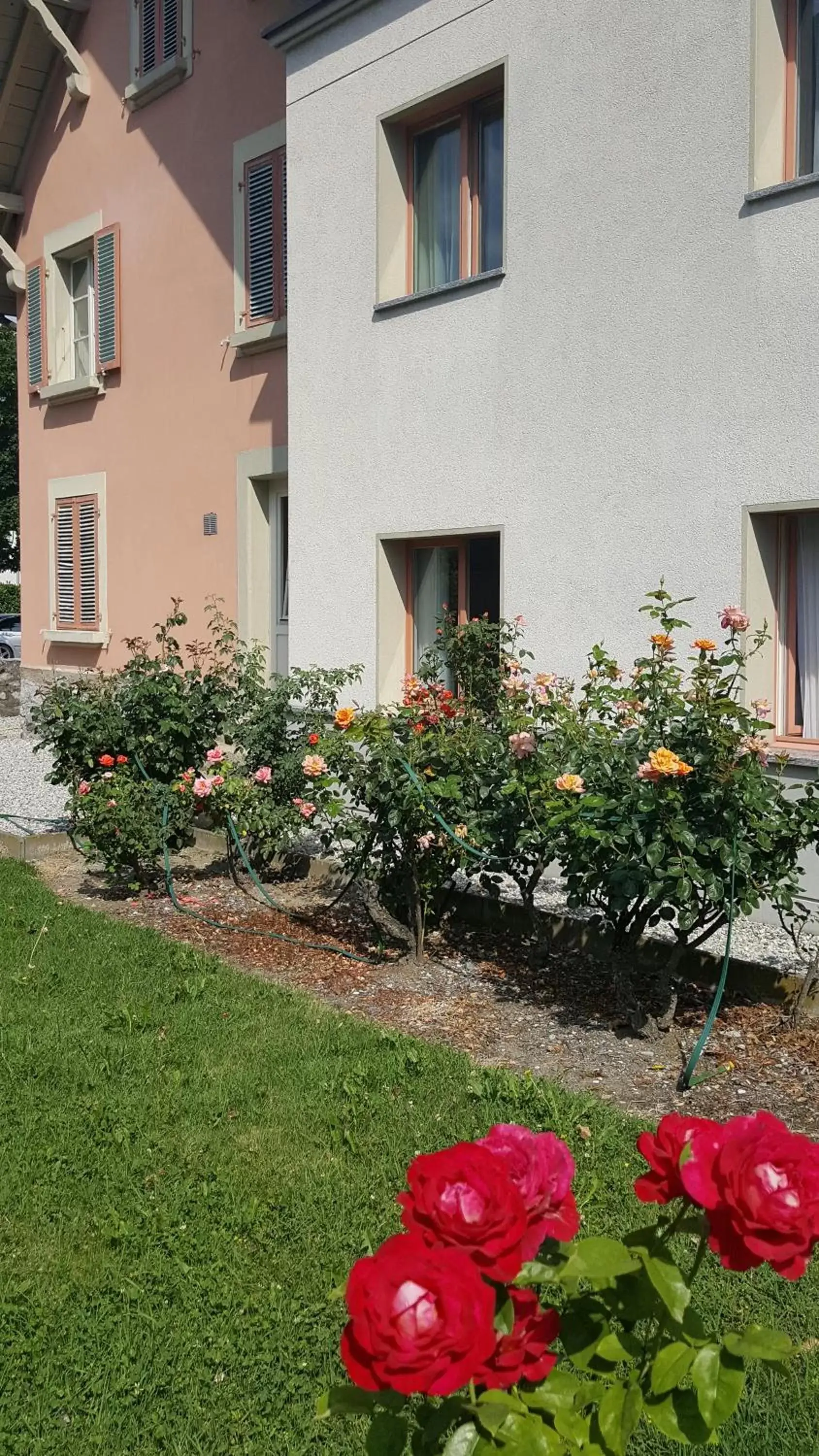 Garden, Property Building in Hôtel les Berges