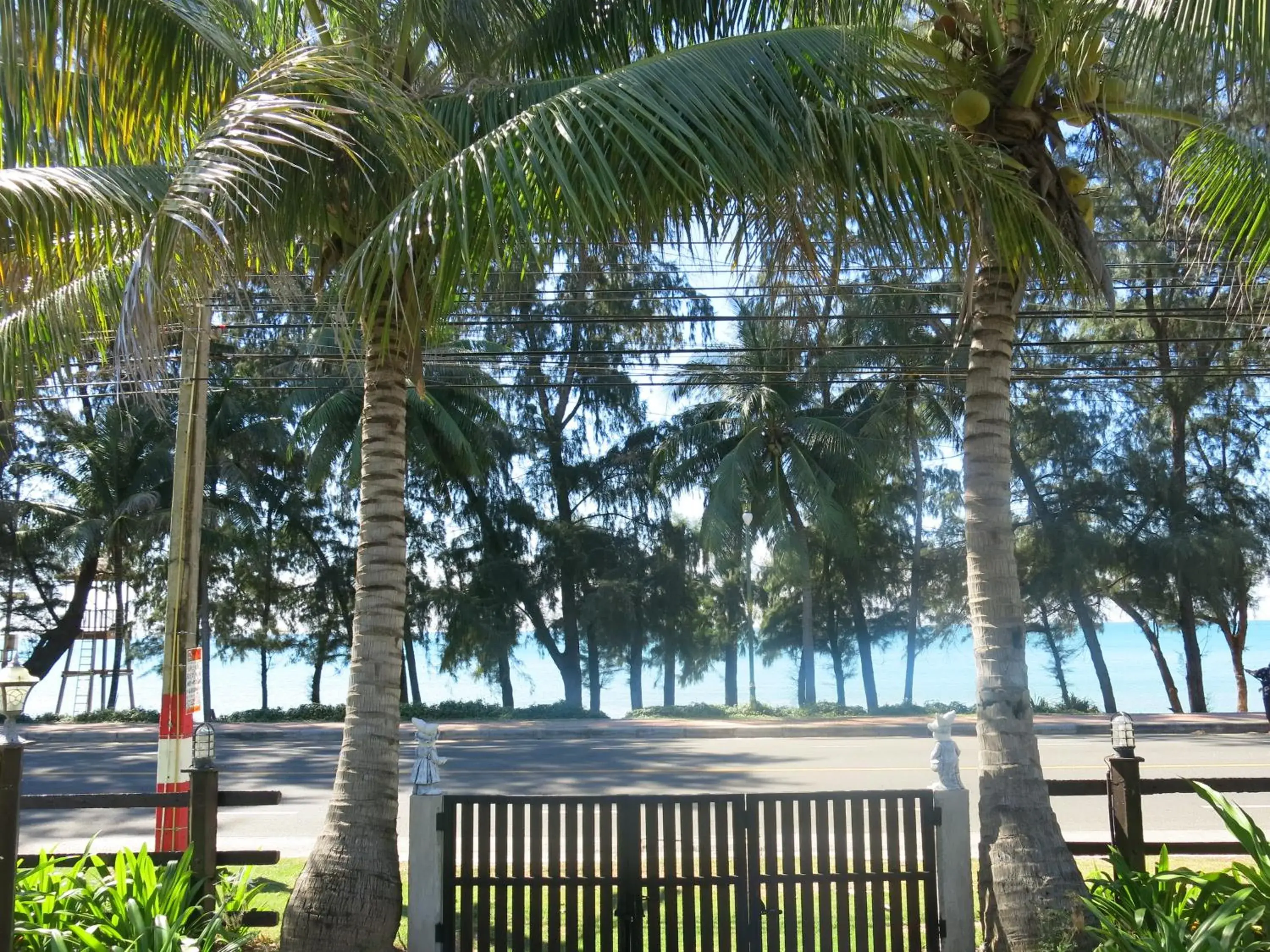 Garden, Swimming Pool in Bayview Resort