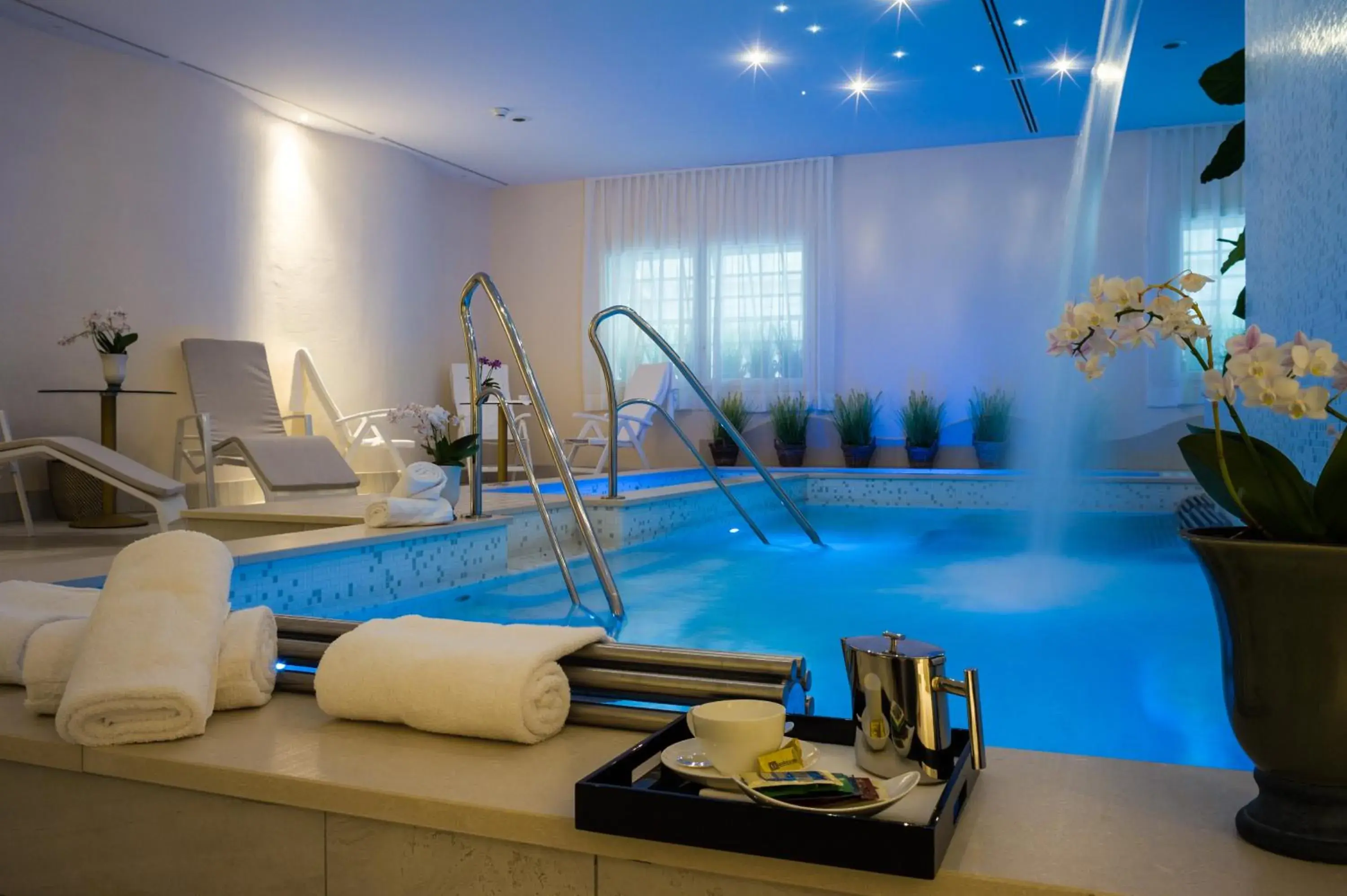 Hot Tub, Swimming Pool in Turin Palace Hotel