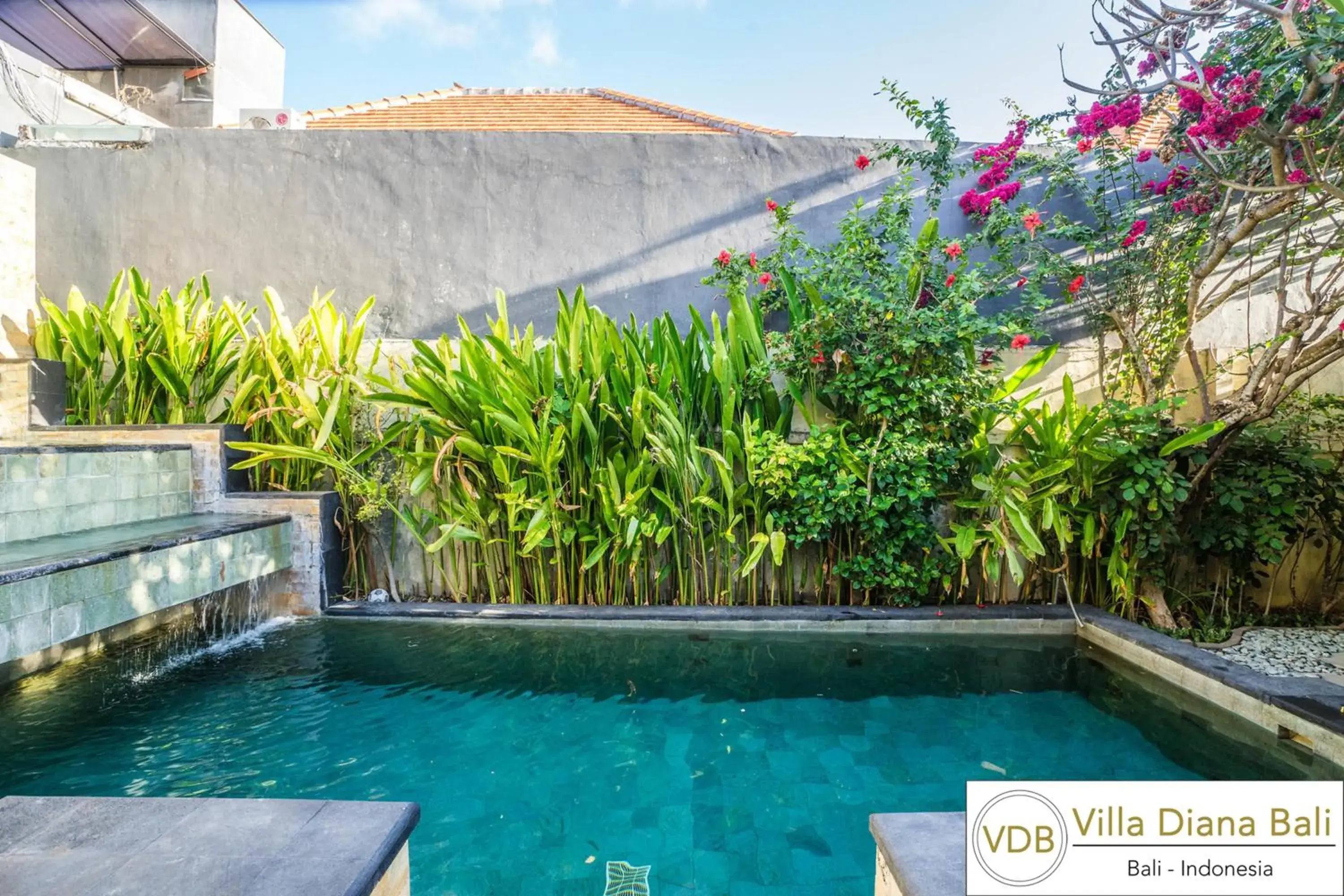 Pool view, Swimming Pool in Villa Diana Bali