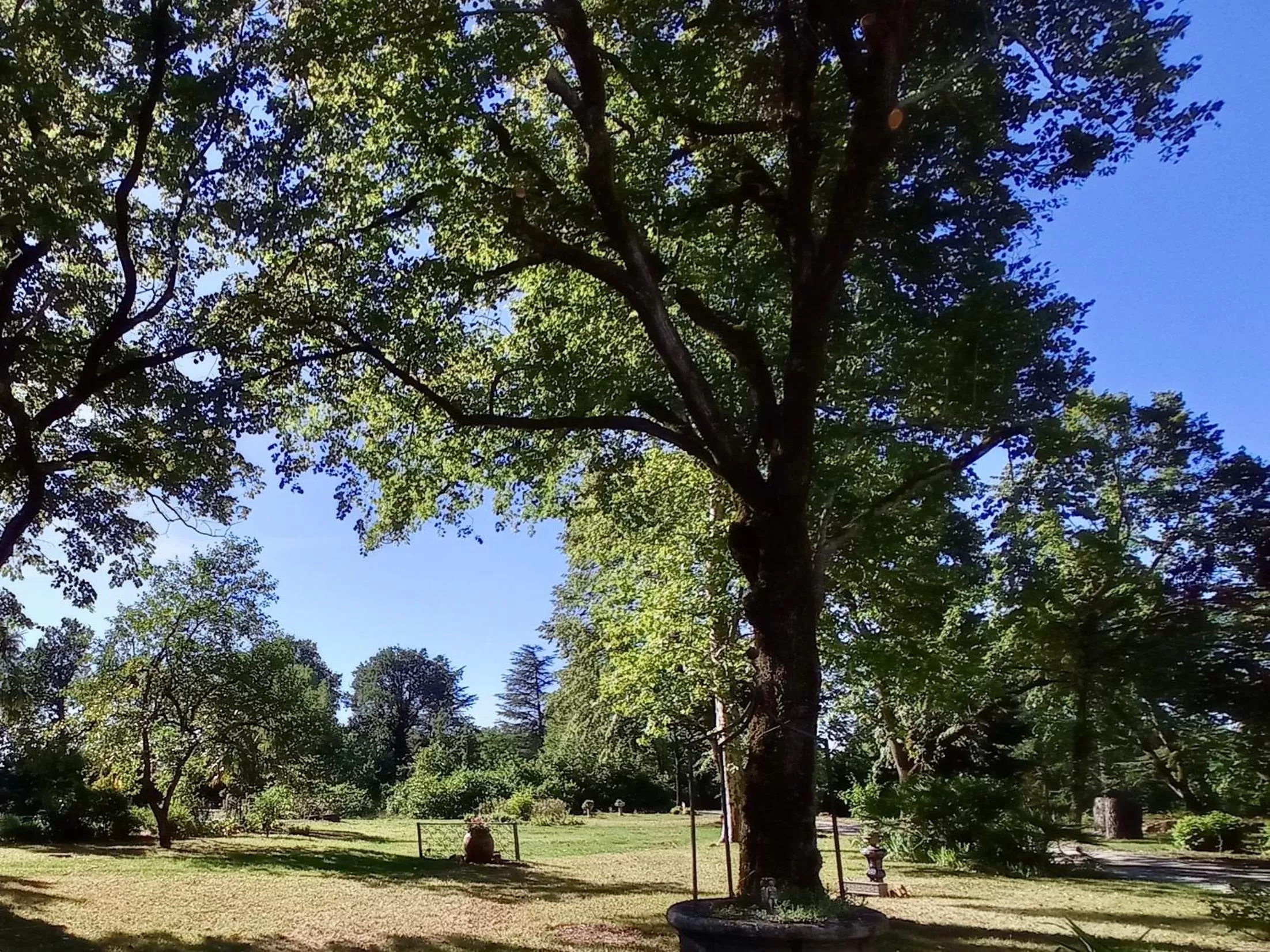Garden in Domaine de Rasigous