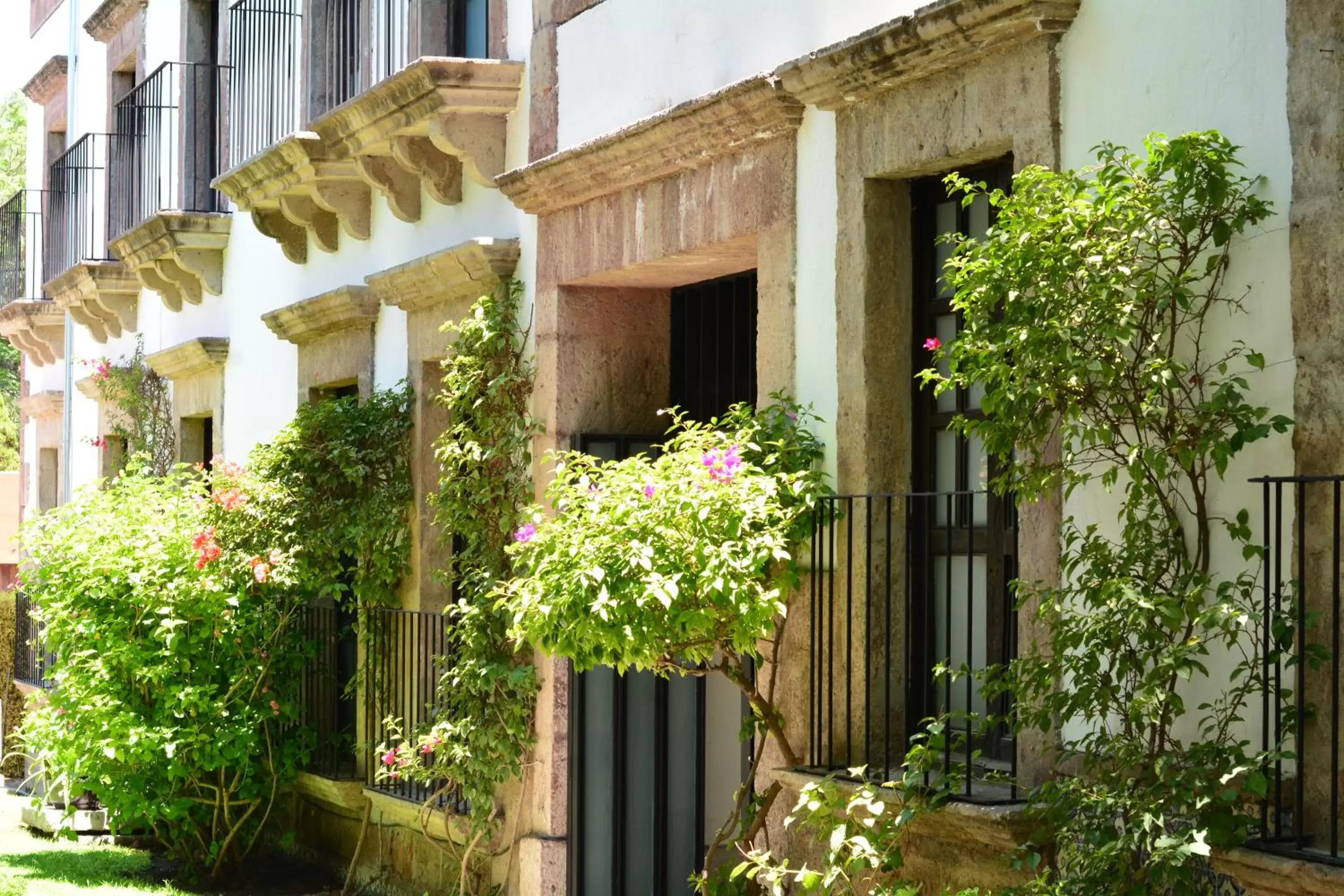 Lobby or reception, Property Building in Hotel & Spa Doña Urraca San Miguel De Allende