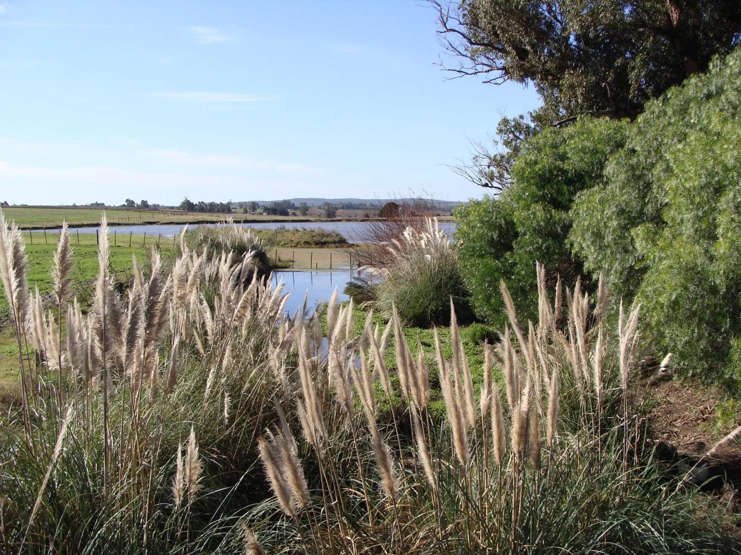 Natural landscape in Estancia Renacimiento