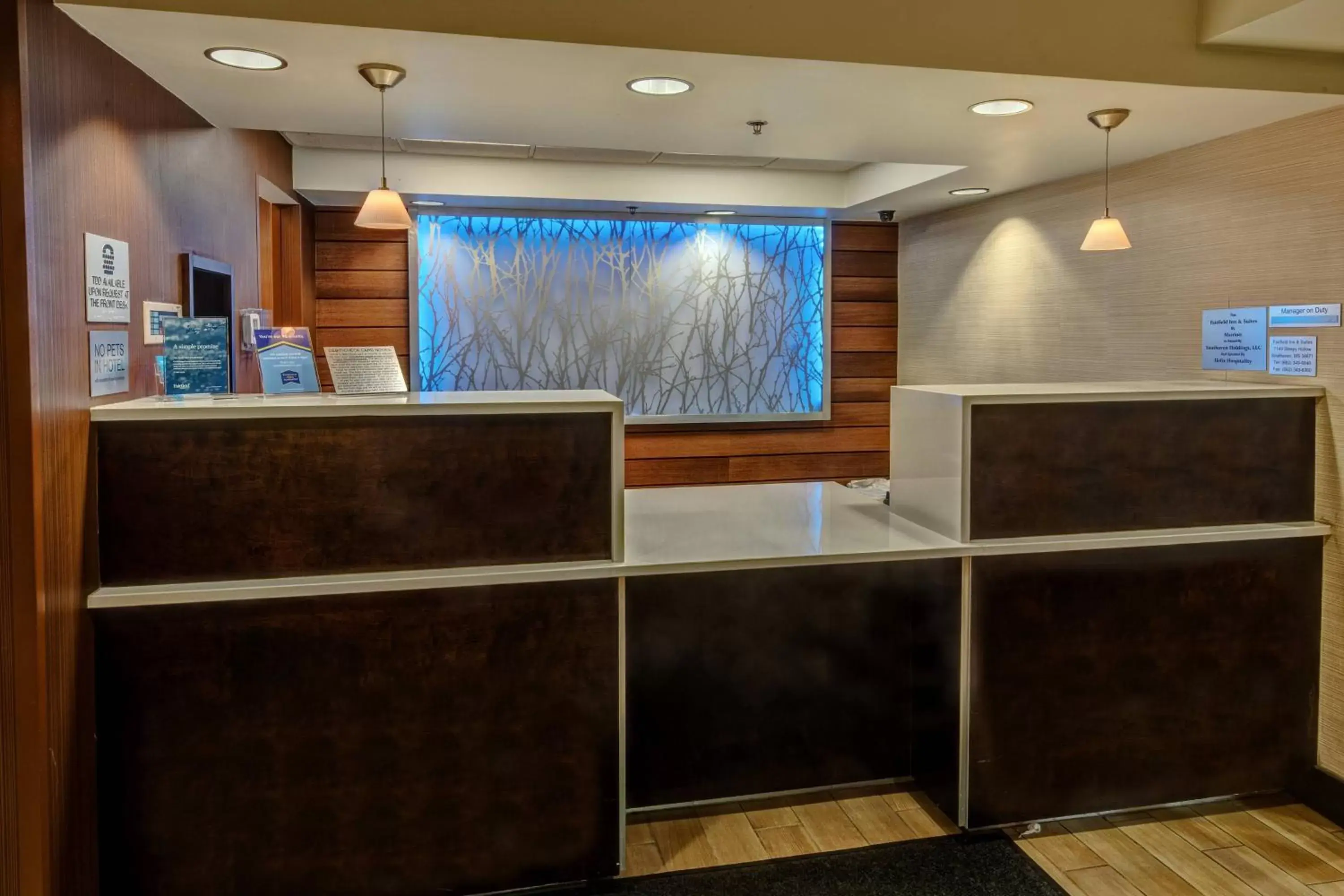 Lobby or reception, Lobby/Reception in Fairfield Inn & Suites Memphis Southaven
