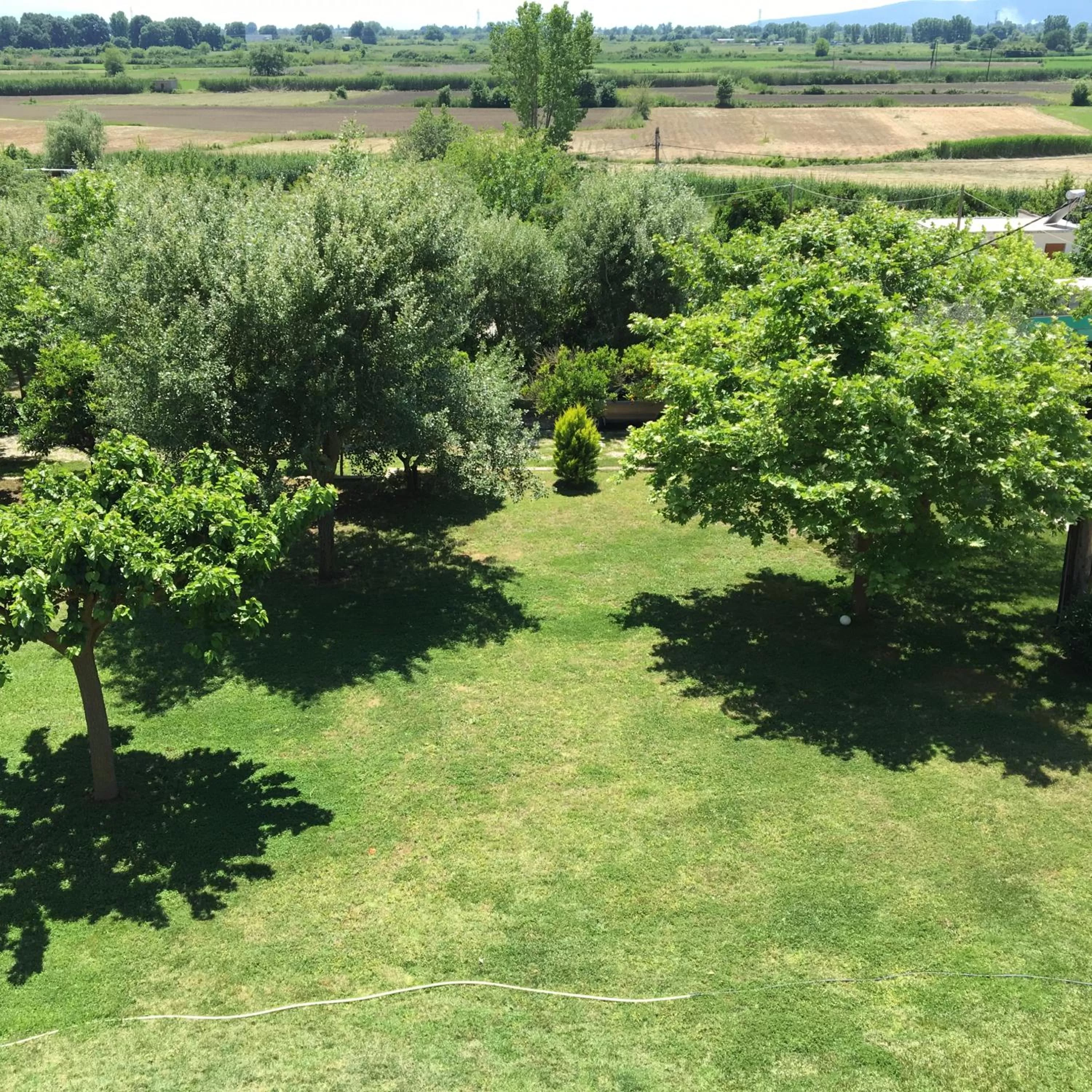 Natural landscape in Hotel Marathia