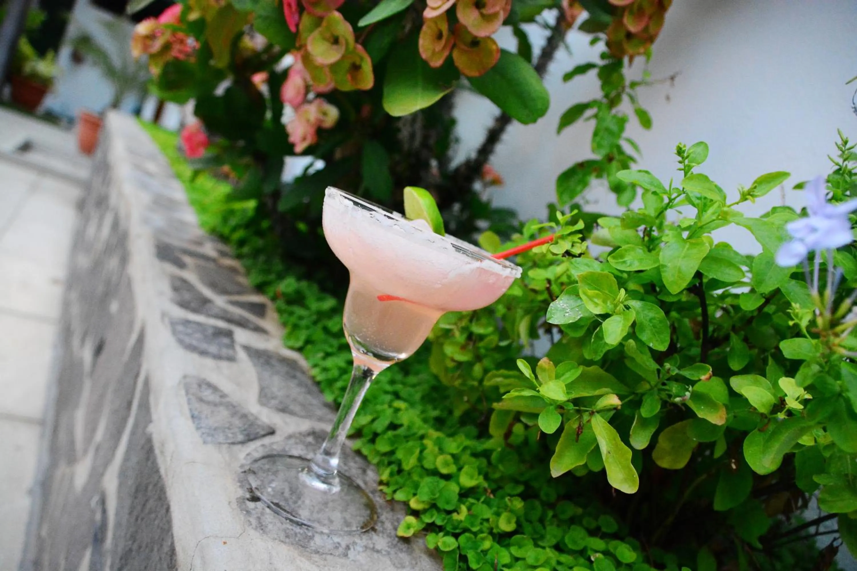 Garden in Hotel Europeo