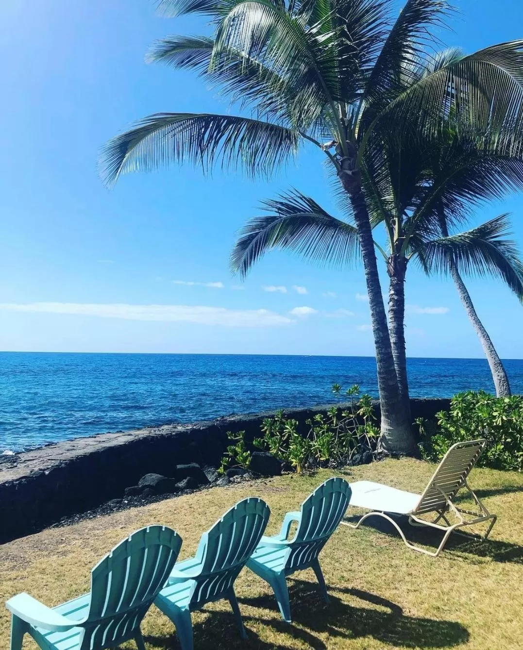 View (from property/room) in Kona Tiki Hotel