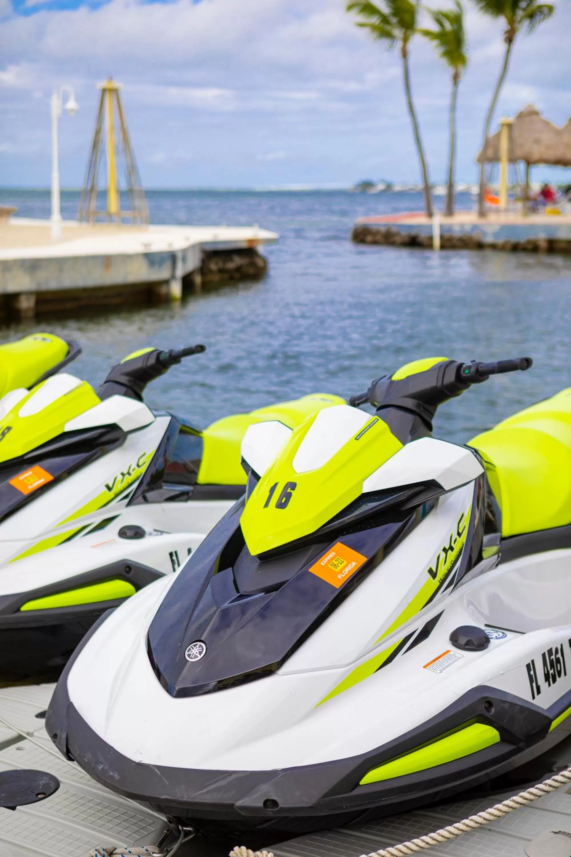 Activities in Reefhouse Resort and Marina