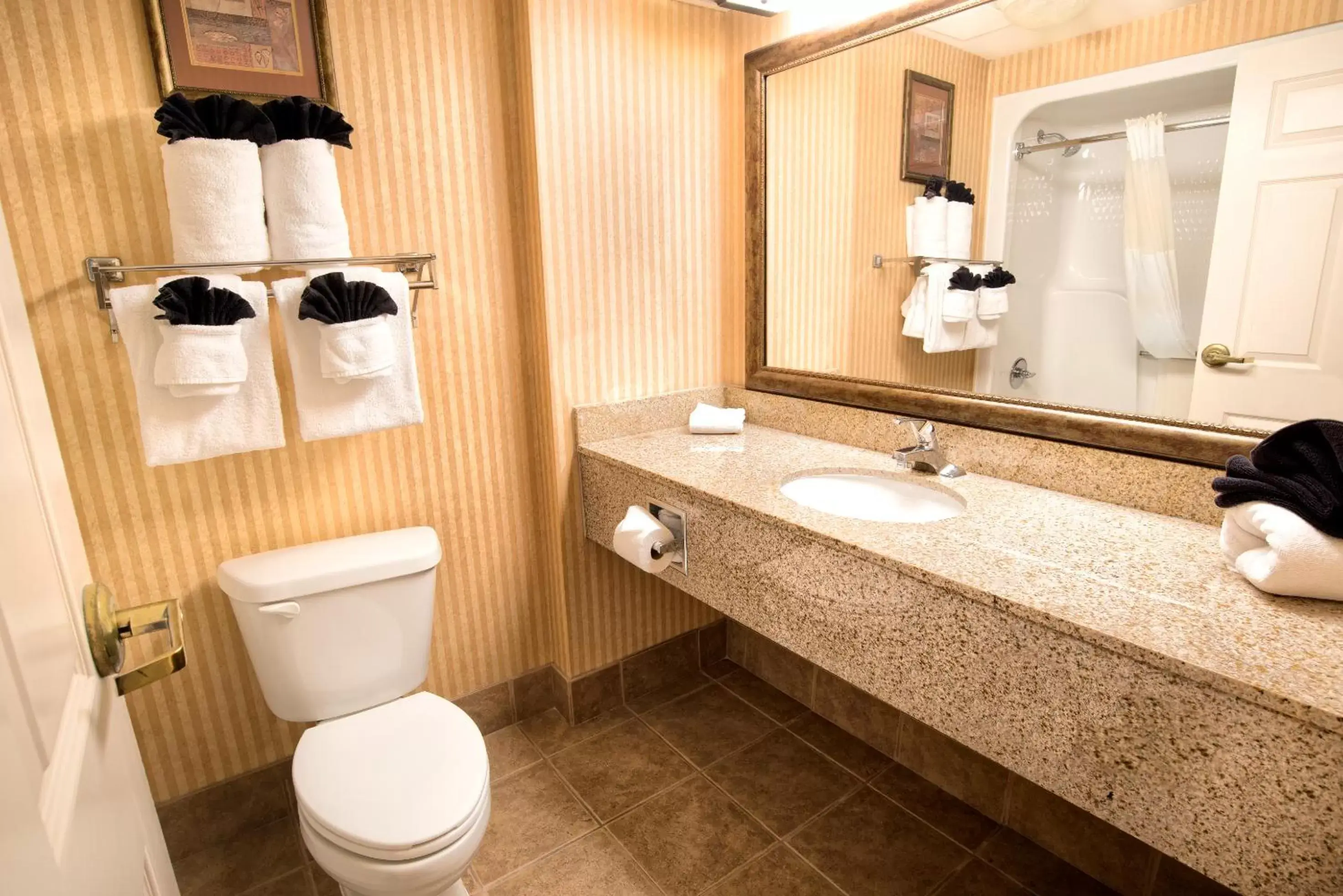 Bathroom in Grand Plaza Hotel Branson