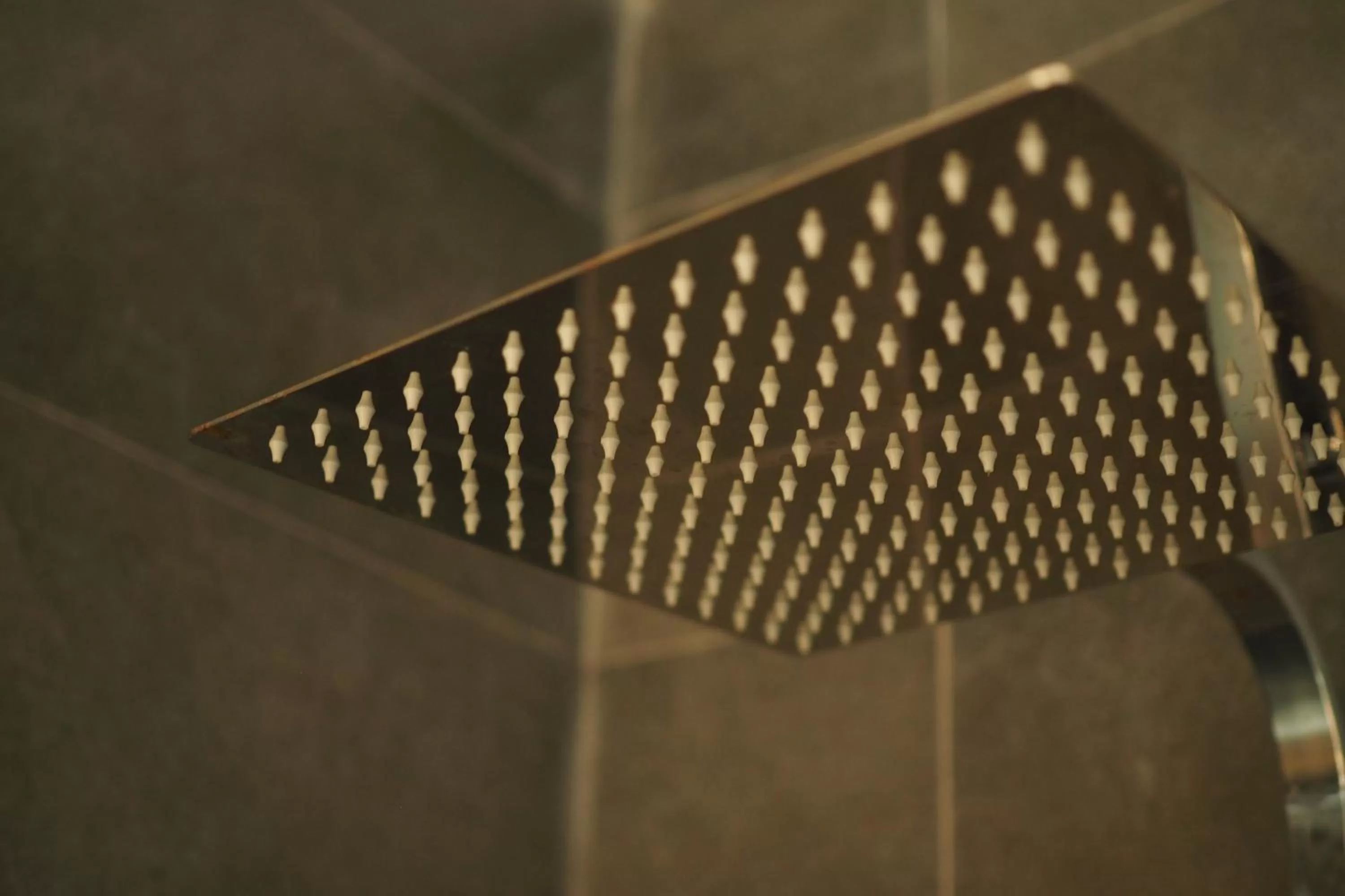 Shower in The Seascape