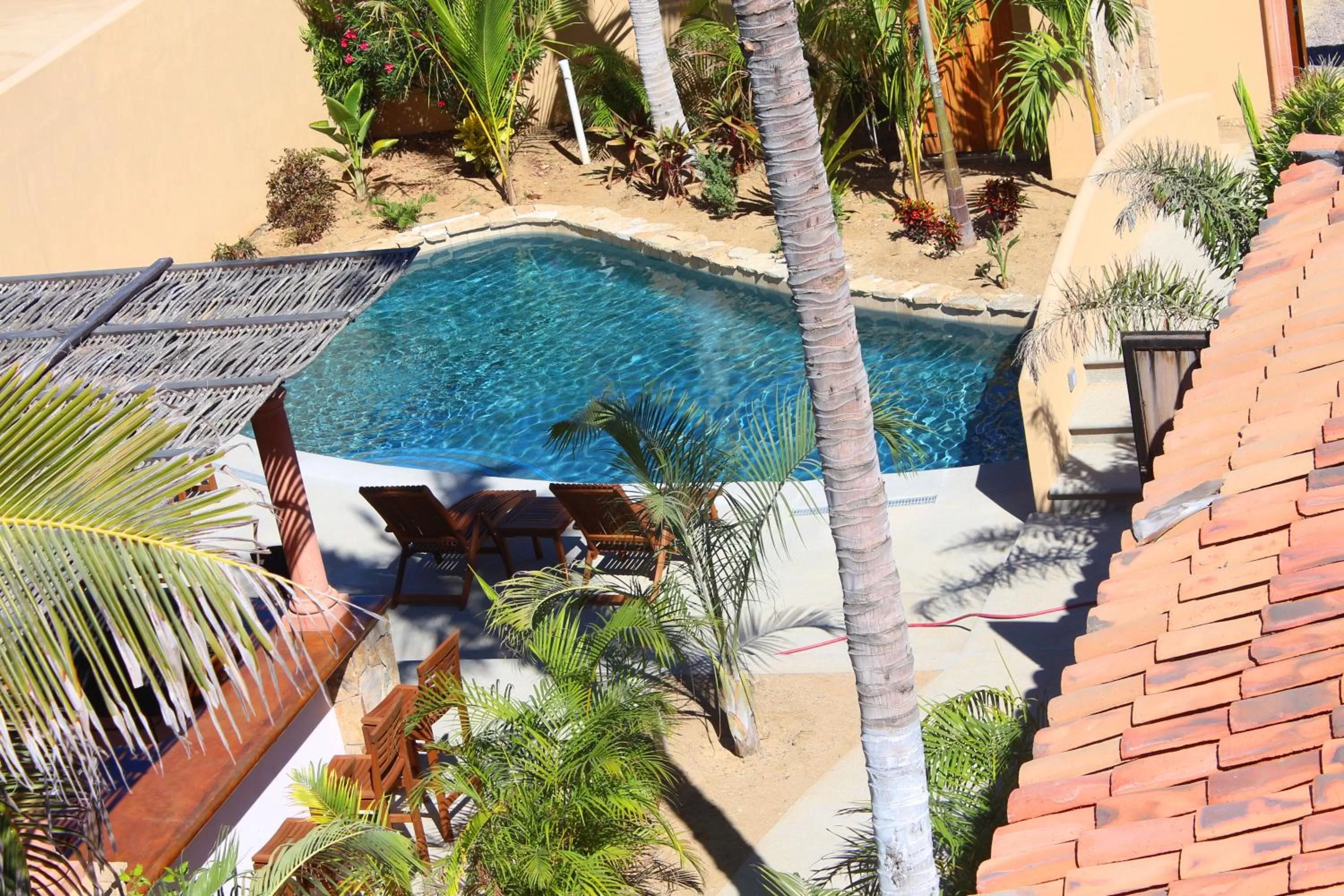 Swimming pool, Pool View in Cerritos Beach Inn