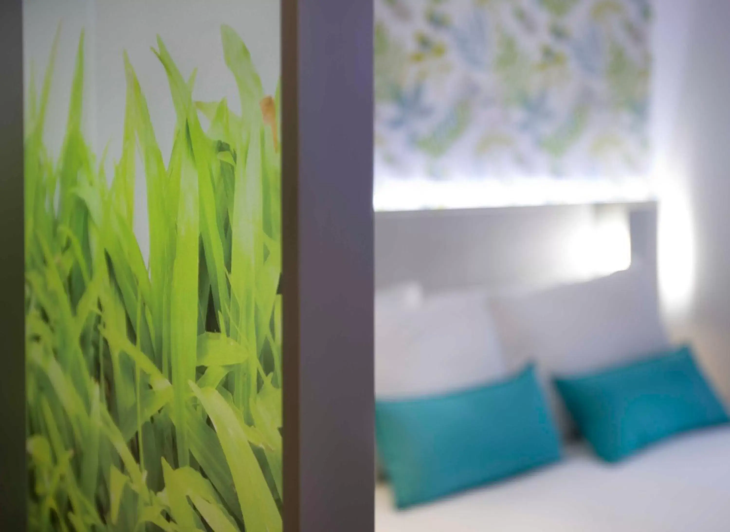 Other, Bed in Salamanca Suite Studios Other, Bed in Salamanca Suite Studios