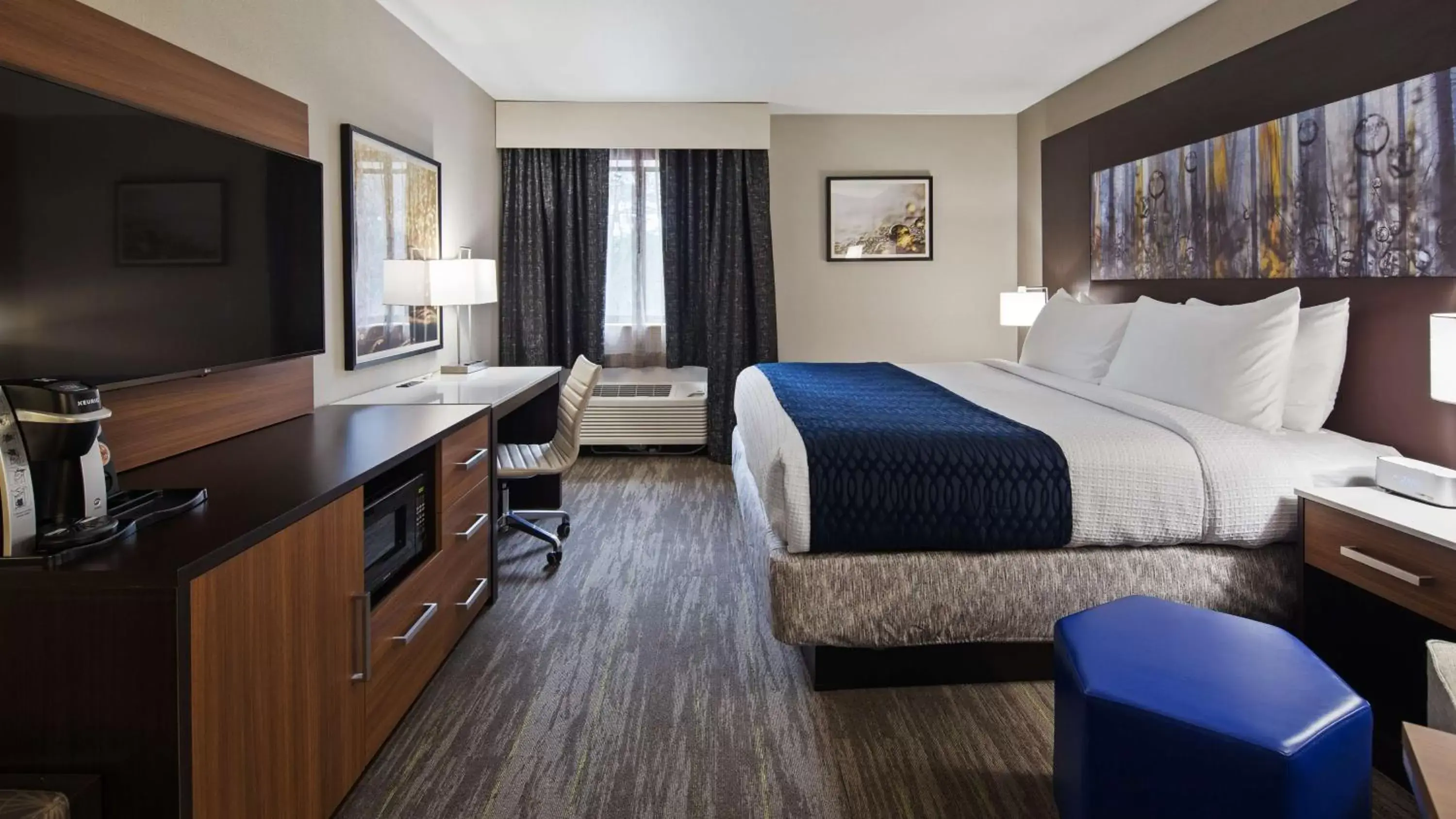 Photo of the whole room in Best Western Atlanta-Marietta Ballpark Hotel