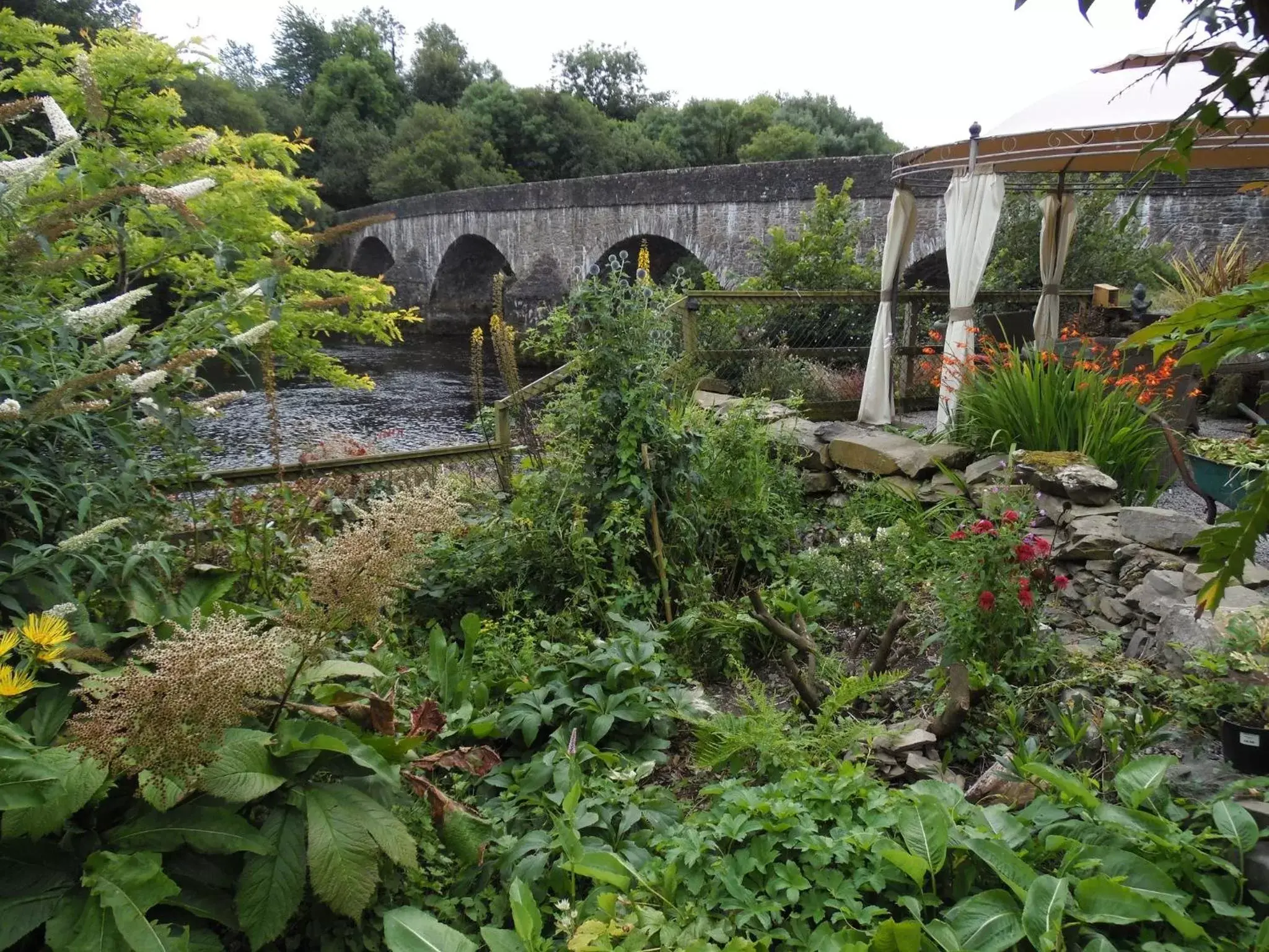 Garden in The Haven B&B