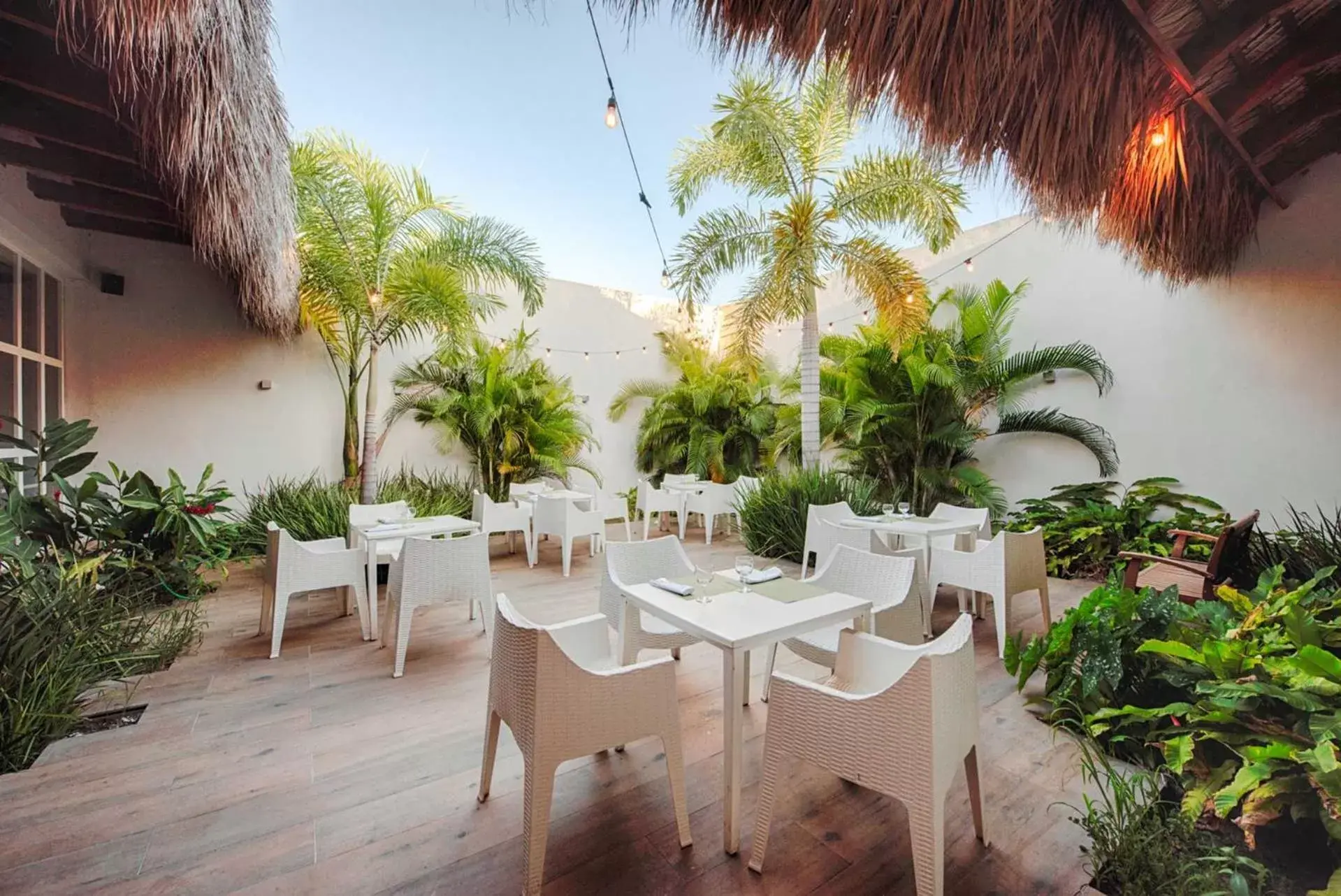 Restaurant/Places to Eat in Grand Sirenis Punta Cana Resort & Aquagames - All Inclusive