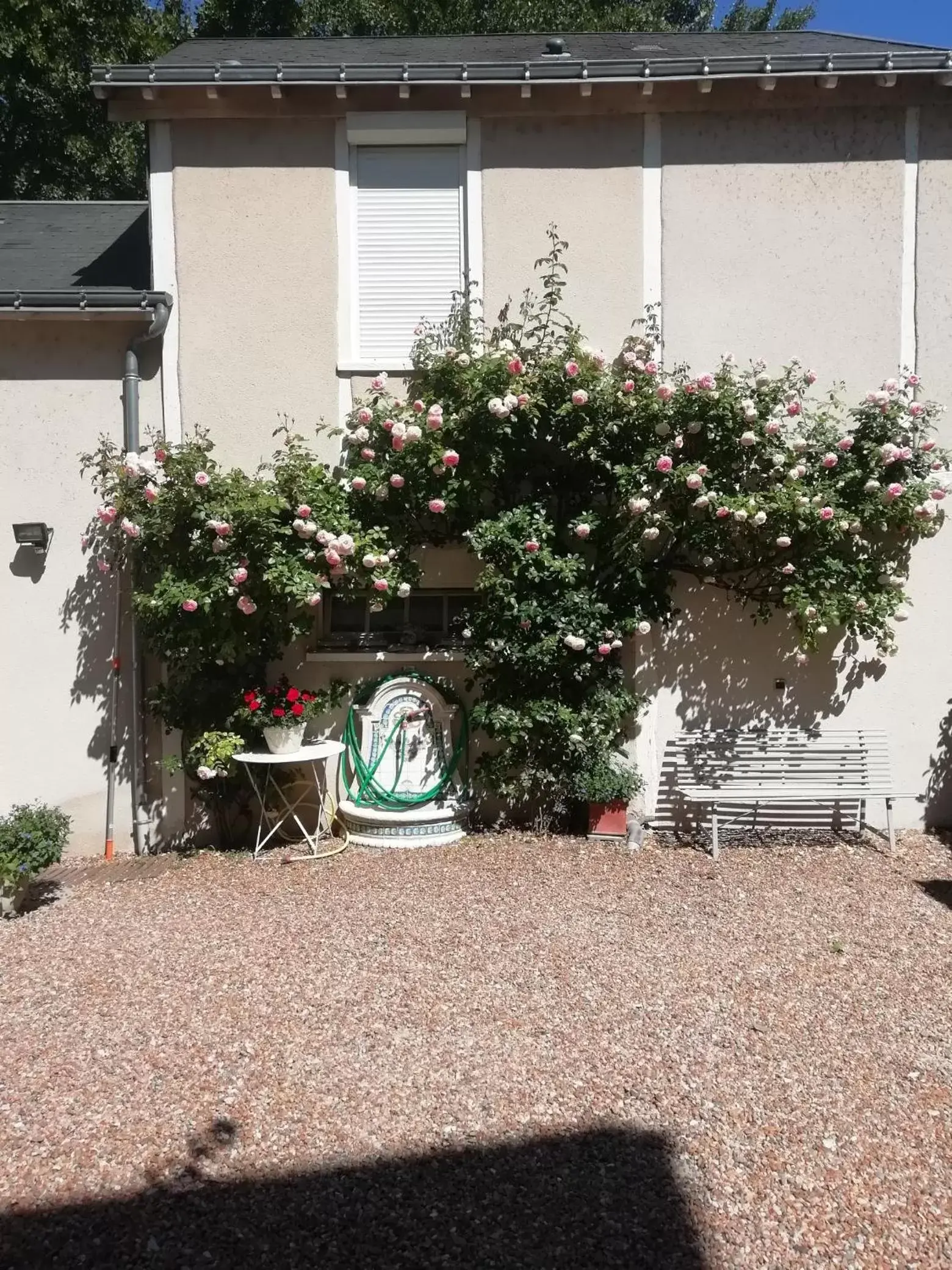 Garden in Hôtel Du Manoir