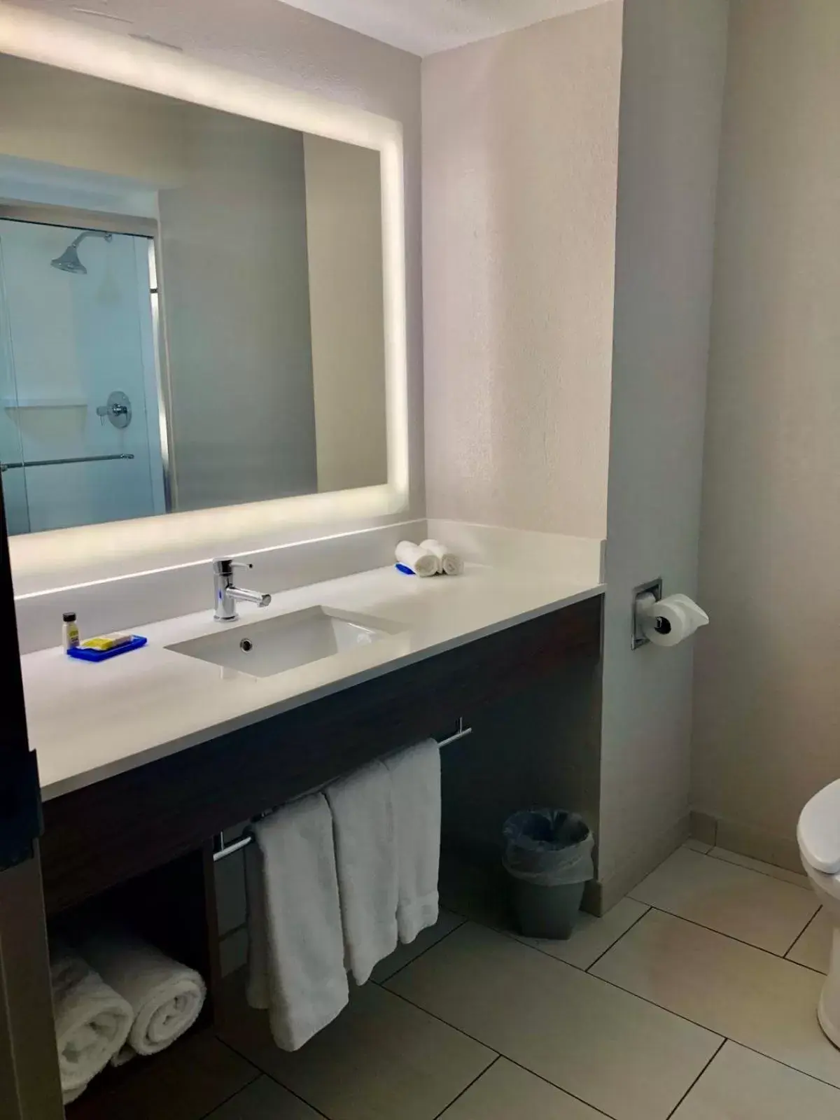 Bathroom in Holiday Inn Express Hotel & Suites Clewiston, an IHG Hotel