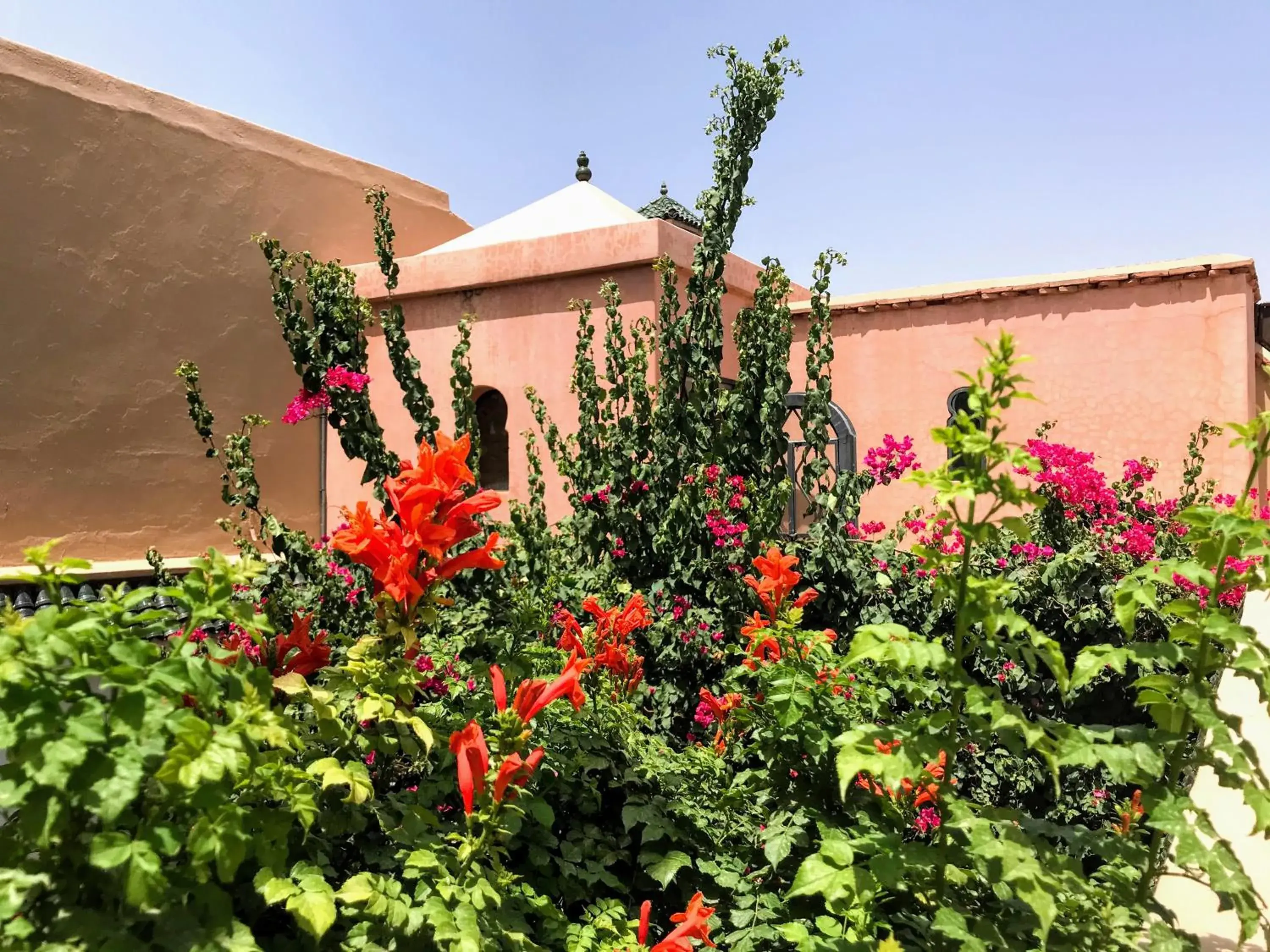 Property building, Garden in Riad Dar Zaman