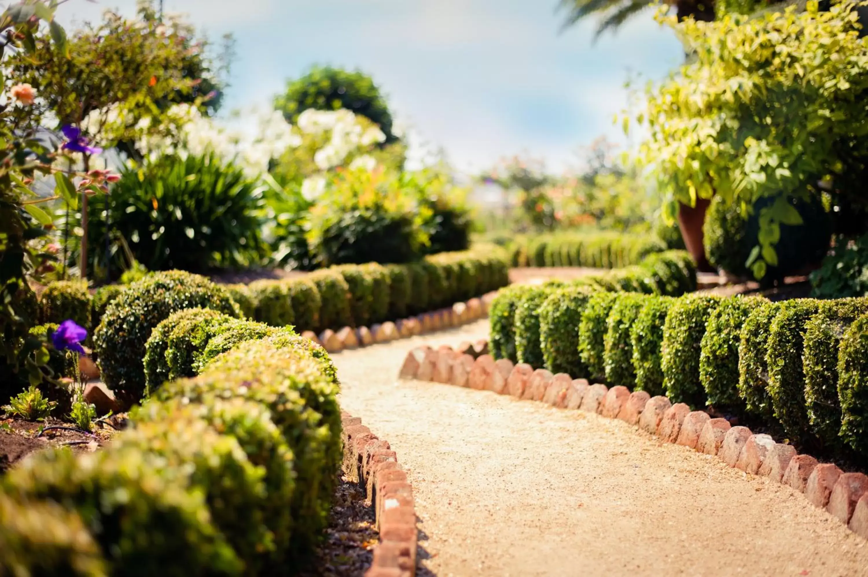 Garden in Napa River Inn