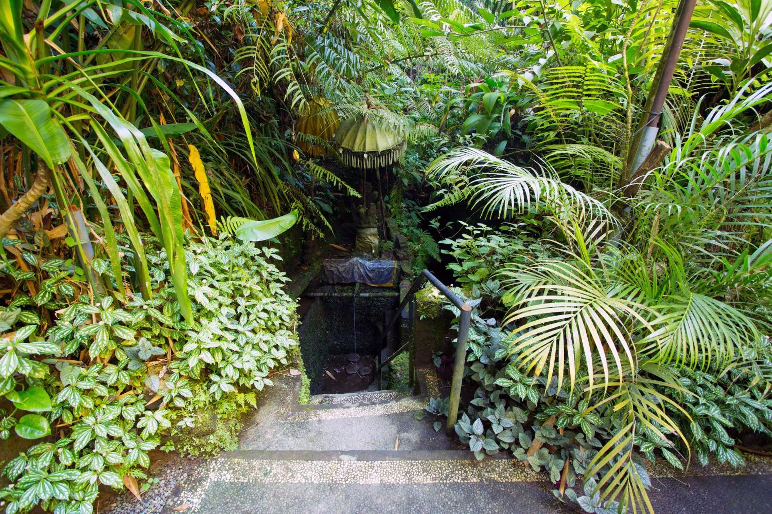 Natural landscape in The Pari Sudha