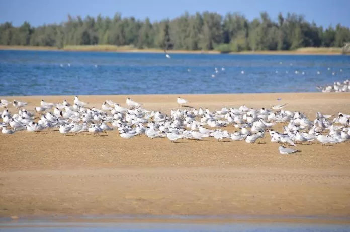 Beach in Hotel La Perle