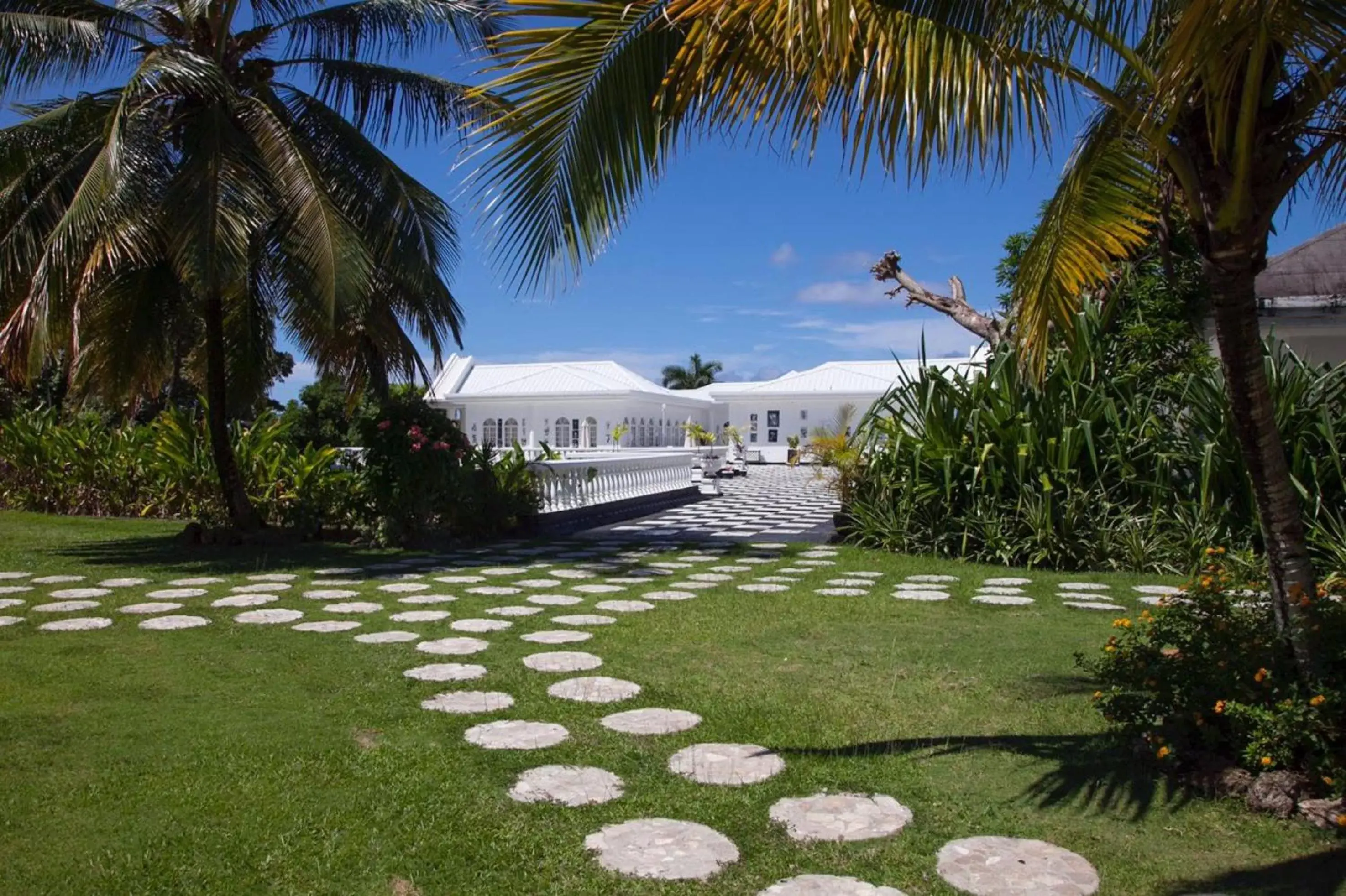 Natural landscape, Garden in Jamaica Palace Hotel