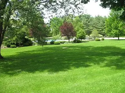 View (from property/room), Garden in Interlaken Inn